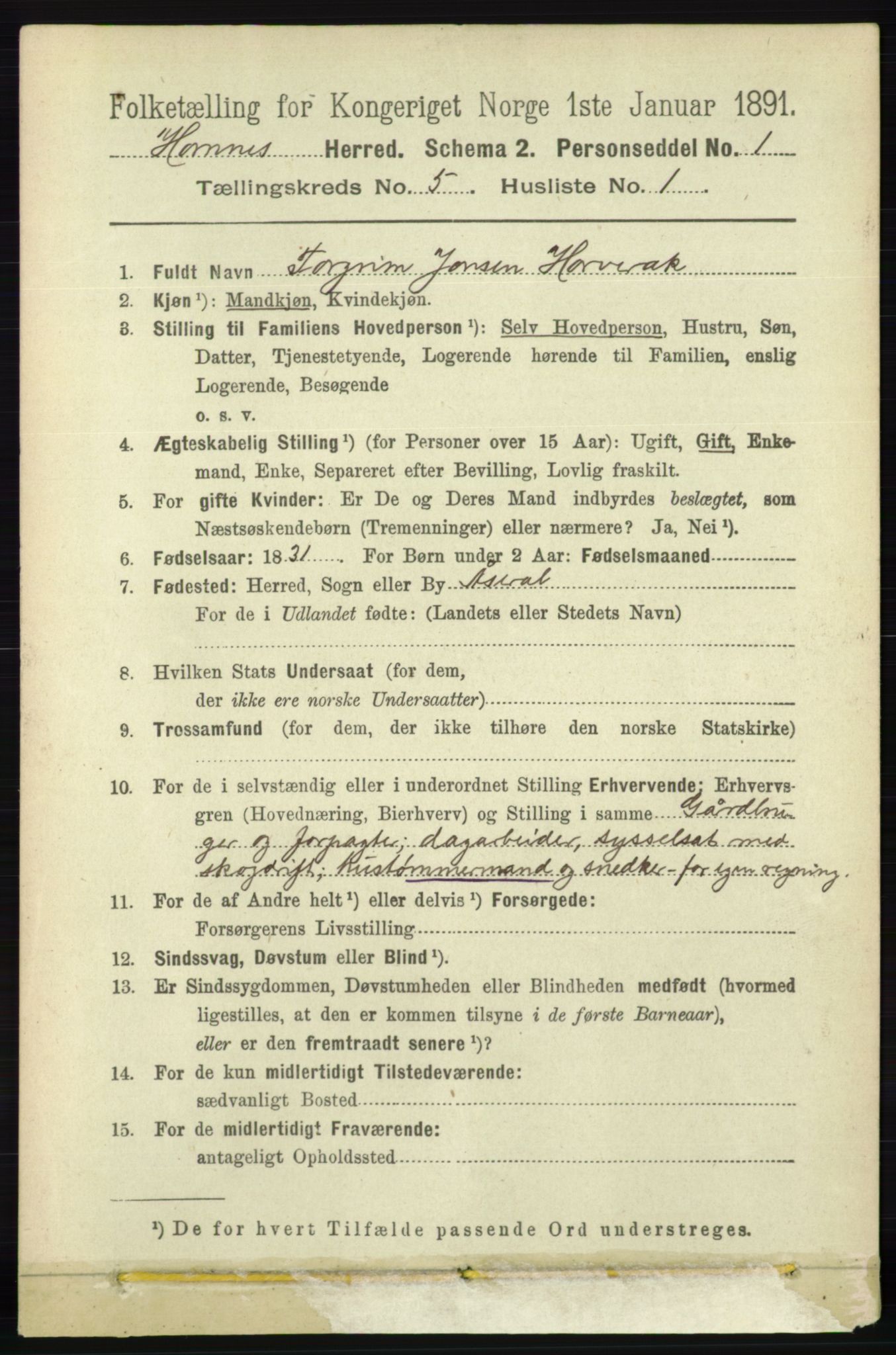 RA, 1891 census for 0936 Hornnes, 1891, p. 1348