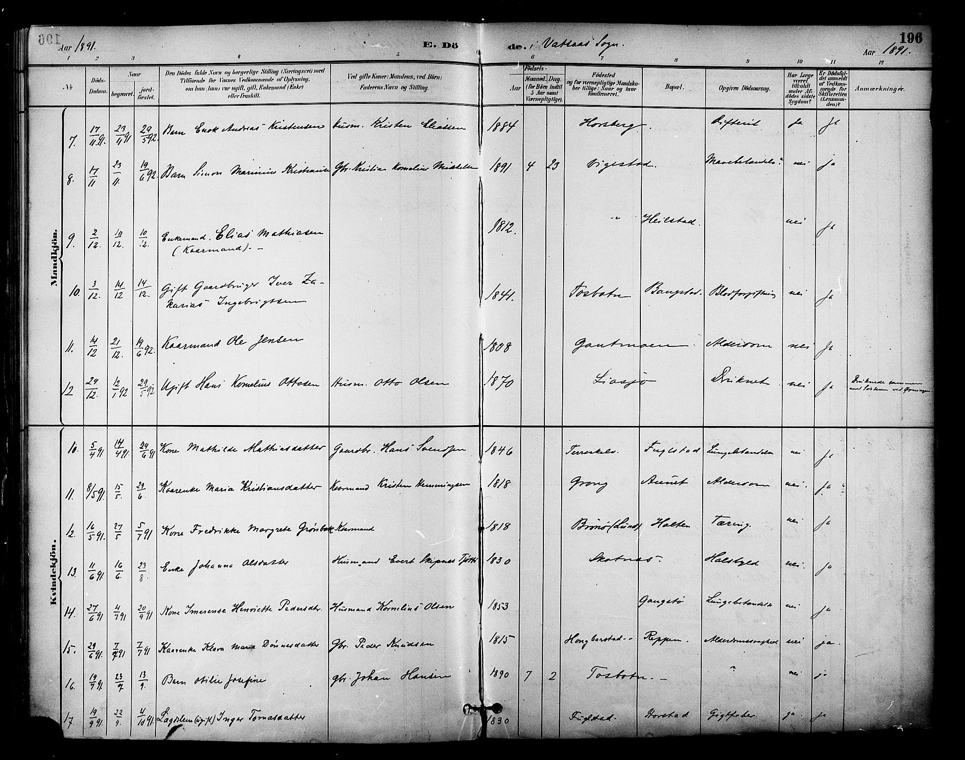 Ministerialprotokoller, klokkerbøker og fødselsregistre - Nordland, AV/SAT-A-1459/810/L0150: Parish register (official) no. 810A10 /1, 1884-1895, p. 196