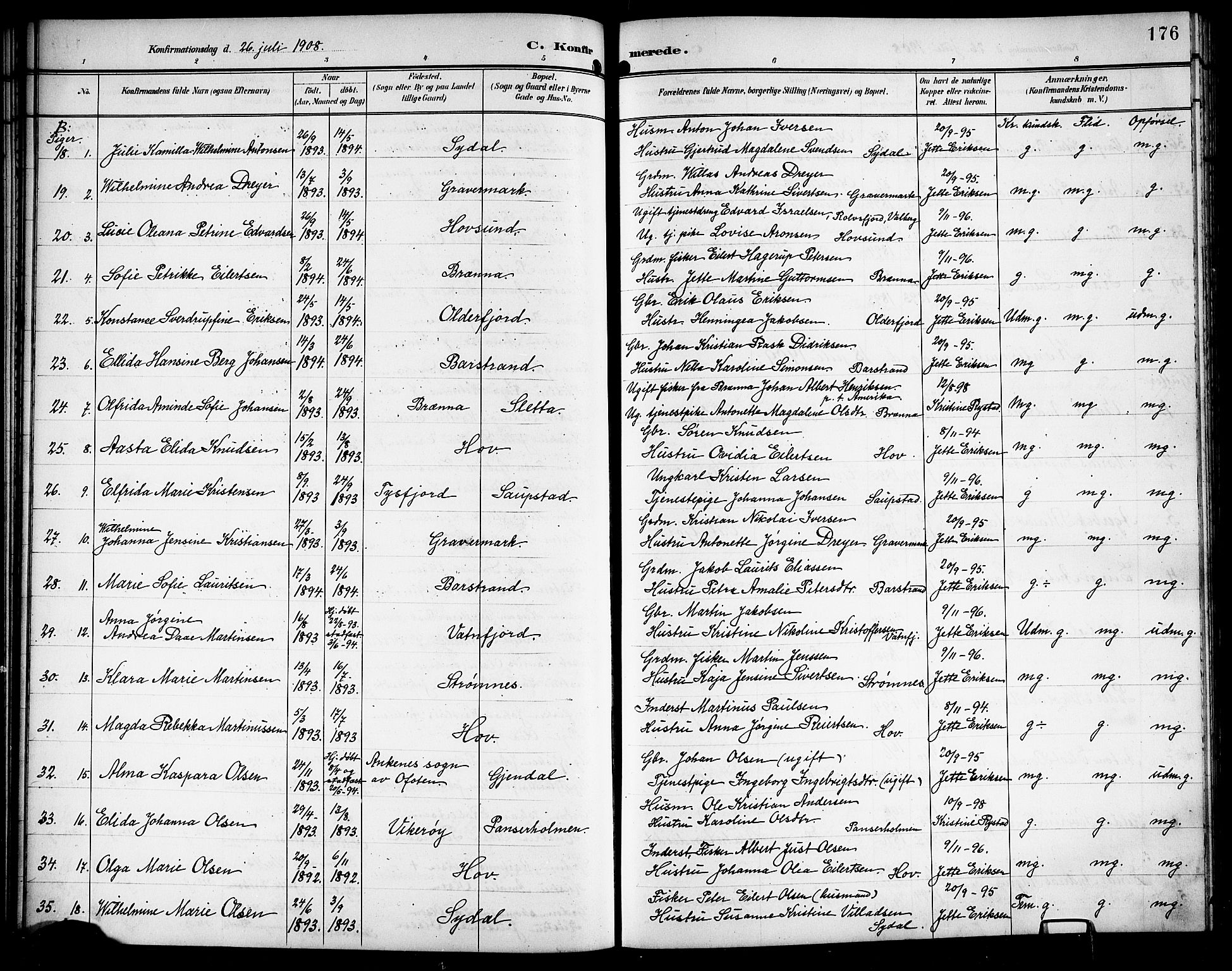 Ministerialprotokoller, klokkerbøker og fødselsregistre - Nordland, AV/SAT-A-1459/876/L1105: Parish register (copy) no. 876C04, 1896-1914, p. 176