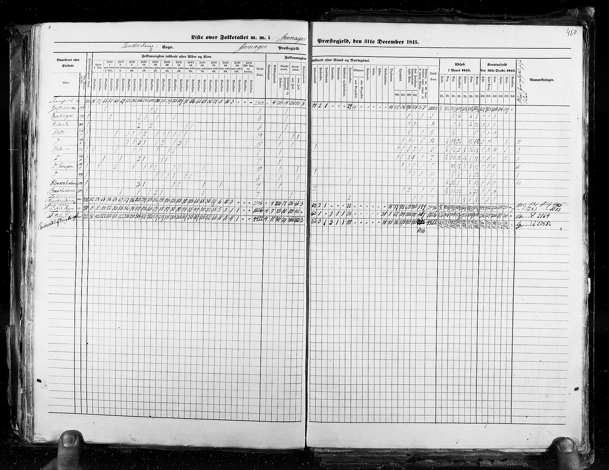 RA, Census 1845, vol. 3: Hedemarken amt og Kristians amt, 1845, p. 450