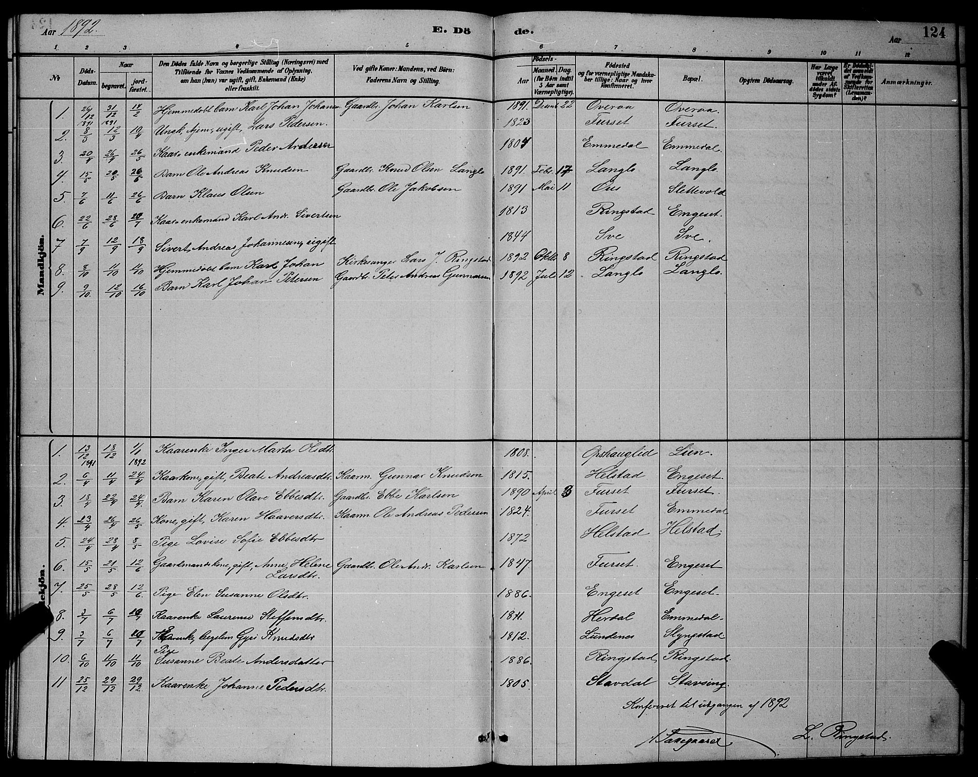 Ministerialprotokoller, klokkerbøker og fødselsregistre - Møre og Romsdal, AV/SAT-A-1454/520/L0292: Parish register (copy) no. 520C04, 1882-1901, p. 124