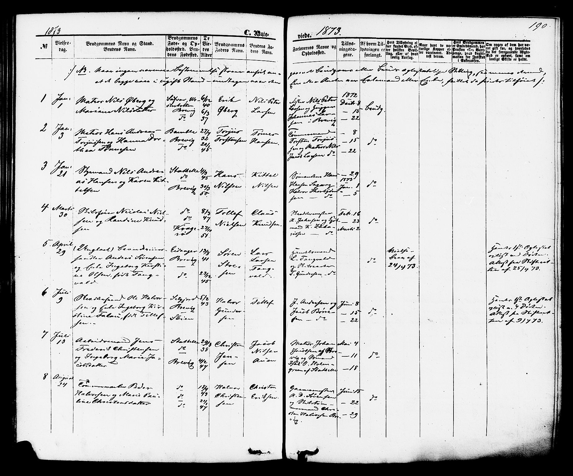 Brevik kirkebøker, AV/SAKO-A-255/F/Fa/L0006: Parish register (official) no. 6, 1866-1881, p. 190