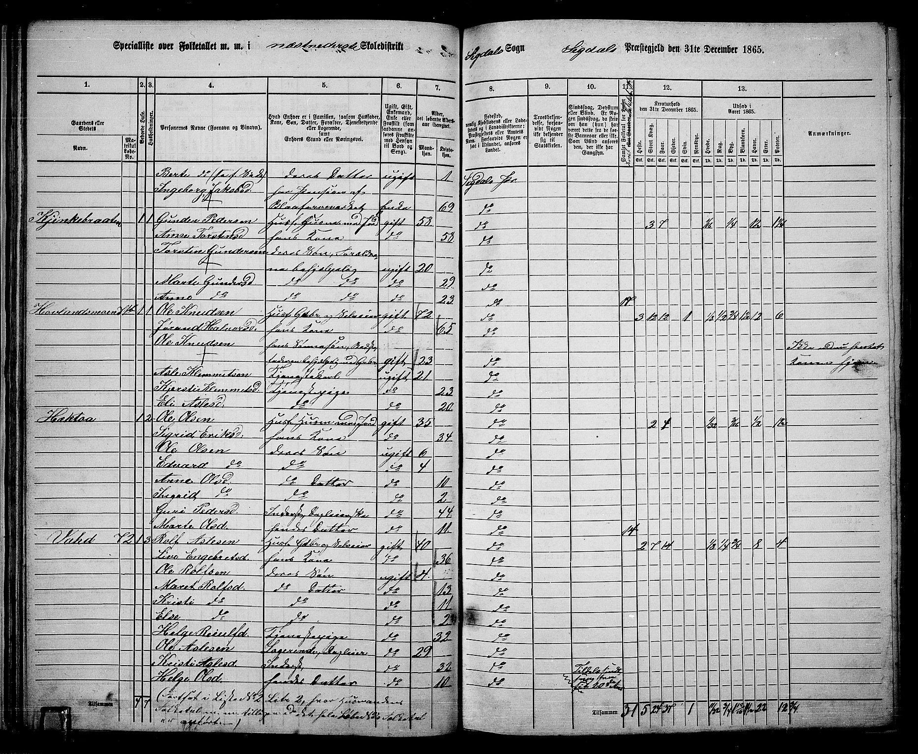 RA, 1865 census for Sigdal, 1865, p. 54