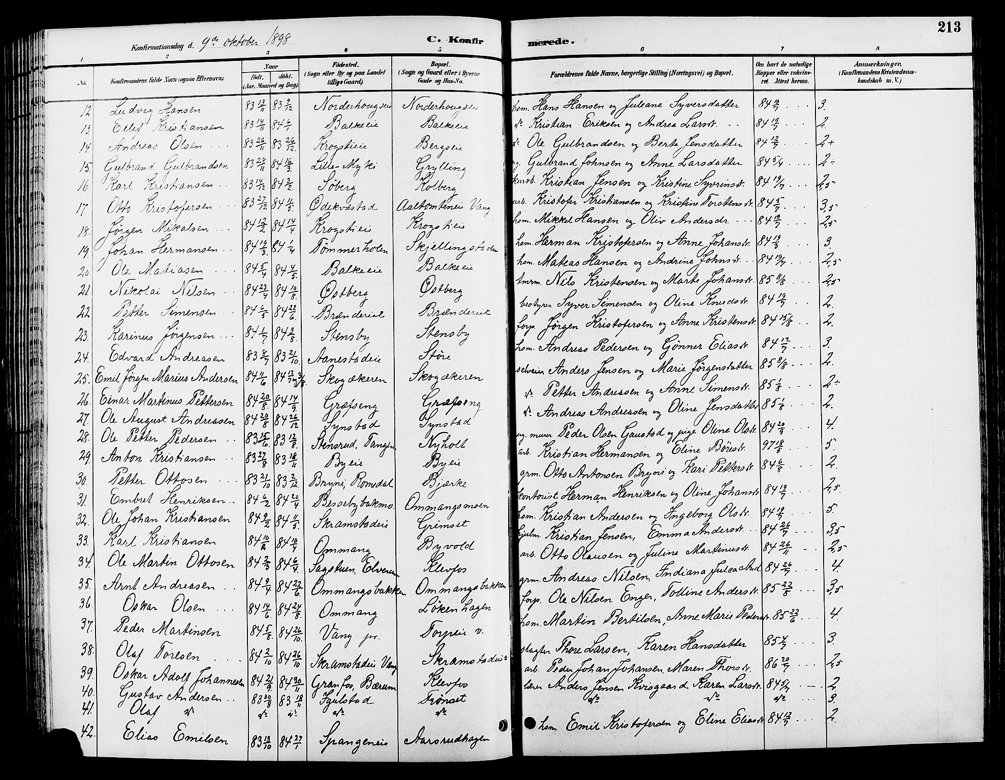 Løten prestekontor, AV/SAH-PREST-022/L/La/L0006: Parish register (copy) no. 6, 1892-1909, p. 213