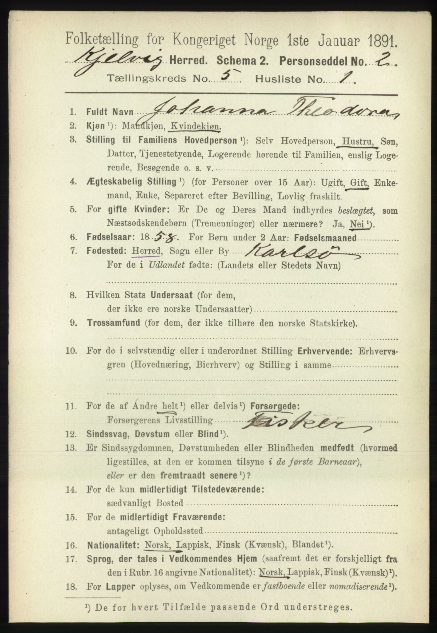 RA, 1891 census for 2019 Kjelvik, 1891, p. 547