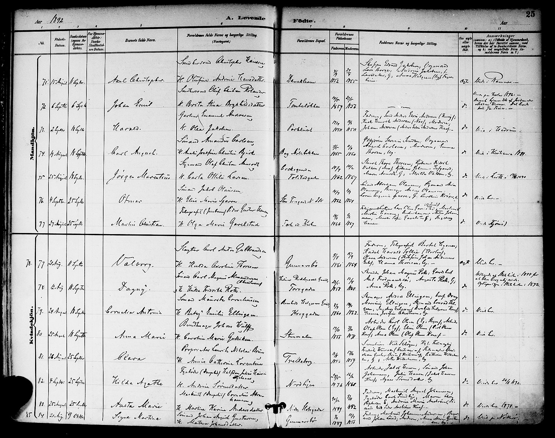 Tønsberg kirkebøker, AV/SAKO-A-330/F/Fa/L0012: Parish register (official) no. I 12, 1891-1899, p. 25