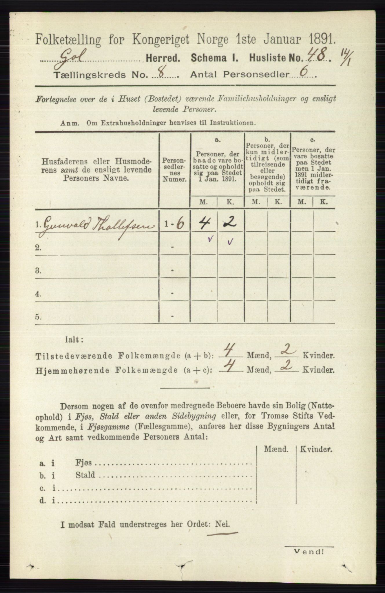 RA, 1891 census for 0617 Gol og Hemsedal, 1891, p. 3029