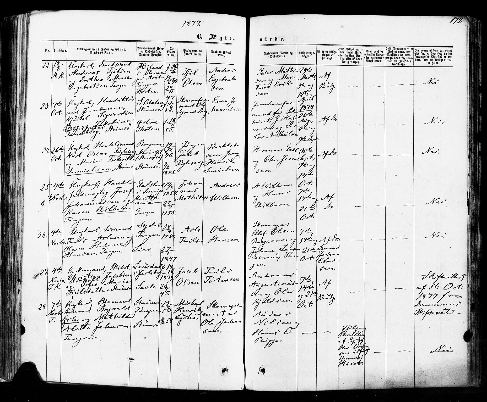 Strømsø kirkebøker, AV/SAKO-A-246/F/Fa/L0018: Parish register (official) no. I 18, 1865-1878, p. 172