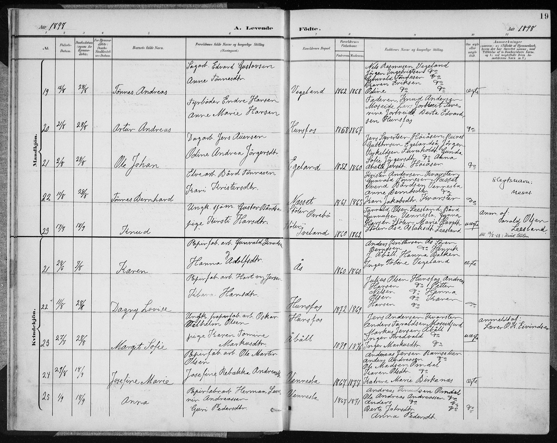 Vennesla sokneprestkontor, AV/SAK-1111-0045/Fa/Fab/L0005: Parish register (official) no. A 5, 1897-1909, p. 19