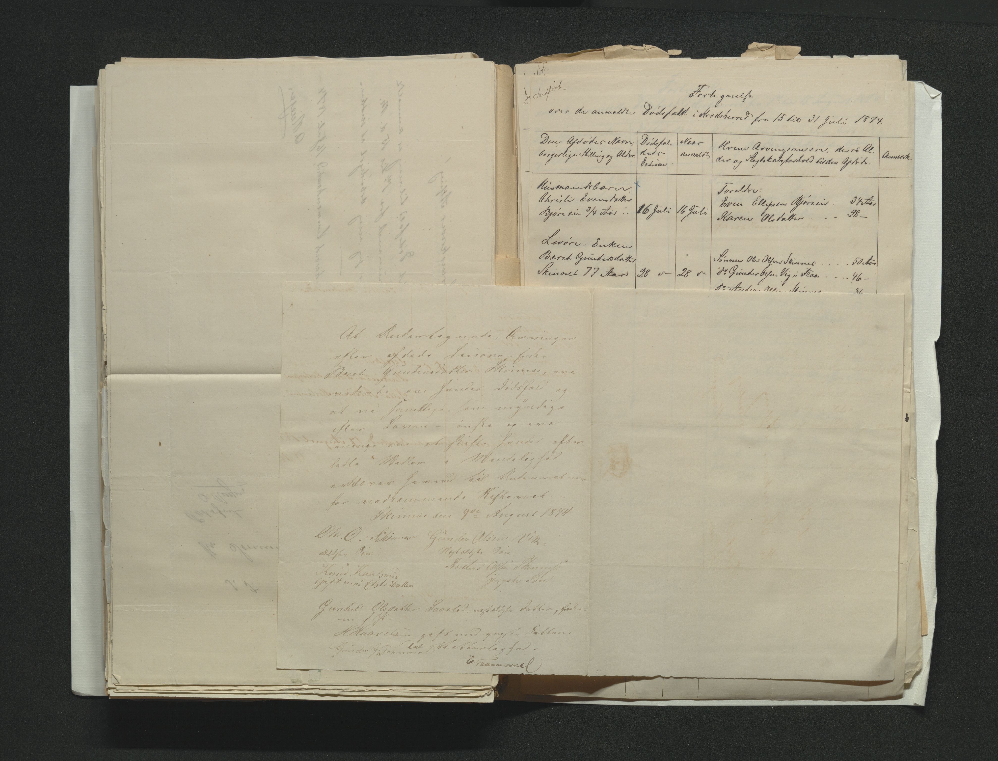 Eiker, Modum og Sigdal sorenskriveri, AV/SAKO-A-123/H/Ha/Hab/L0014: Dødsfallsmeldinger, 1874-1877, p. 159