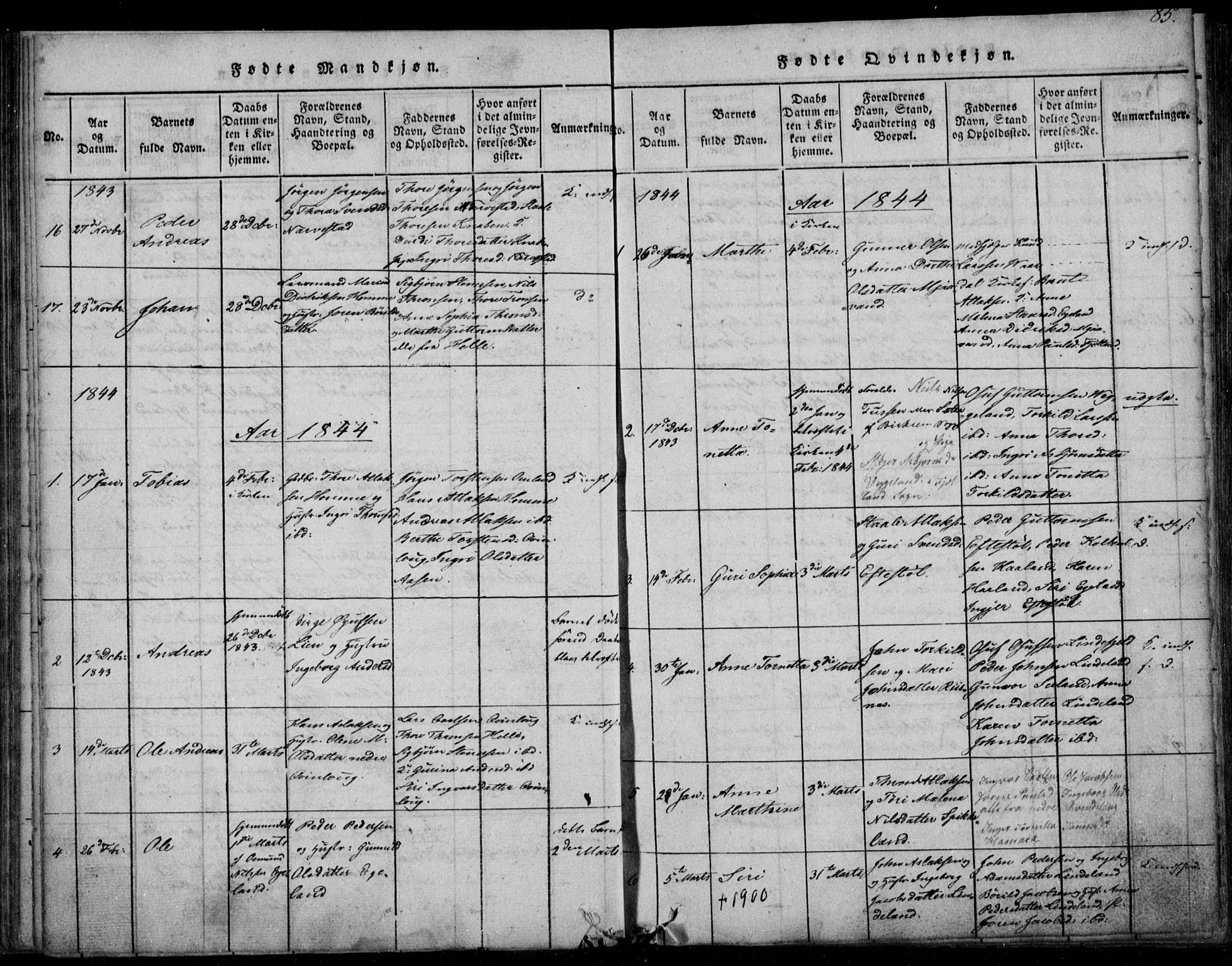 Fjotland sokneprestkontor, AV/SAK-1111-0010/F/Fb/L0001: Parish register (copy) no. B 1, 1816-1849, p. 85