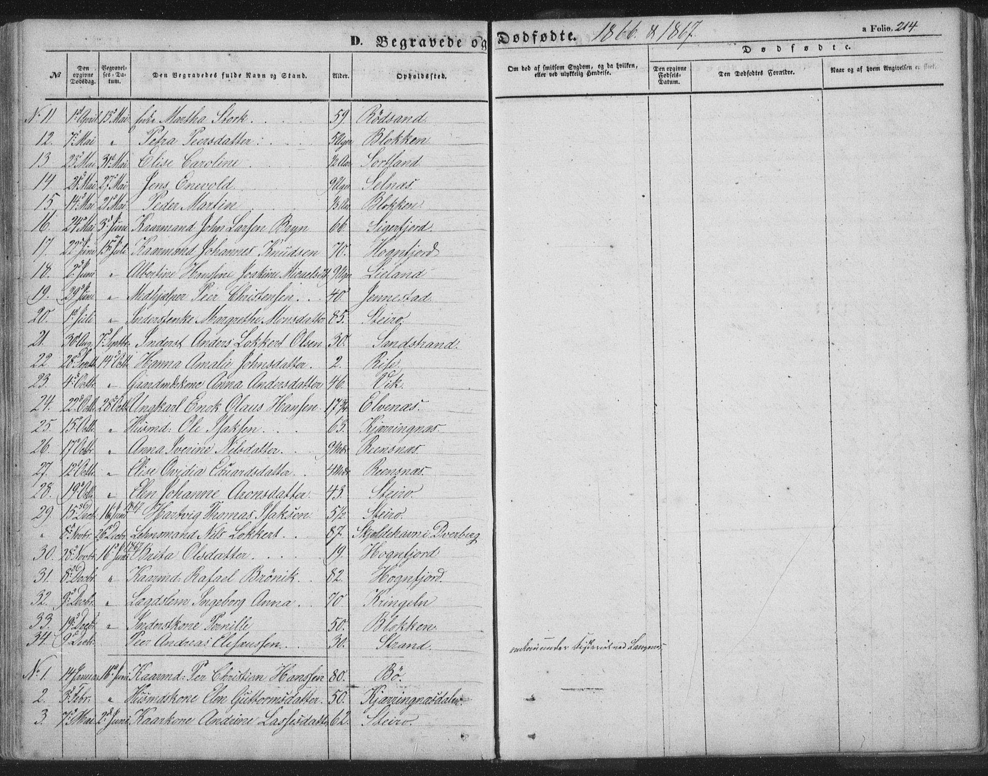 Ministerialprotokoller, klokkerbøker og fødselsregistre - Nordland, AV/SAT-A-1459/895/L1369: Parish register (official) no. 895A04, 1852-1872, p. 214