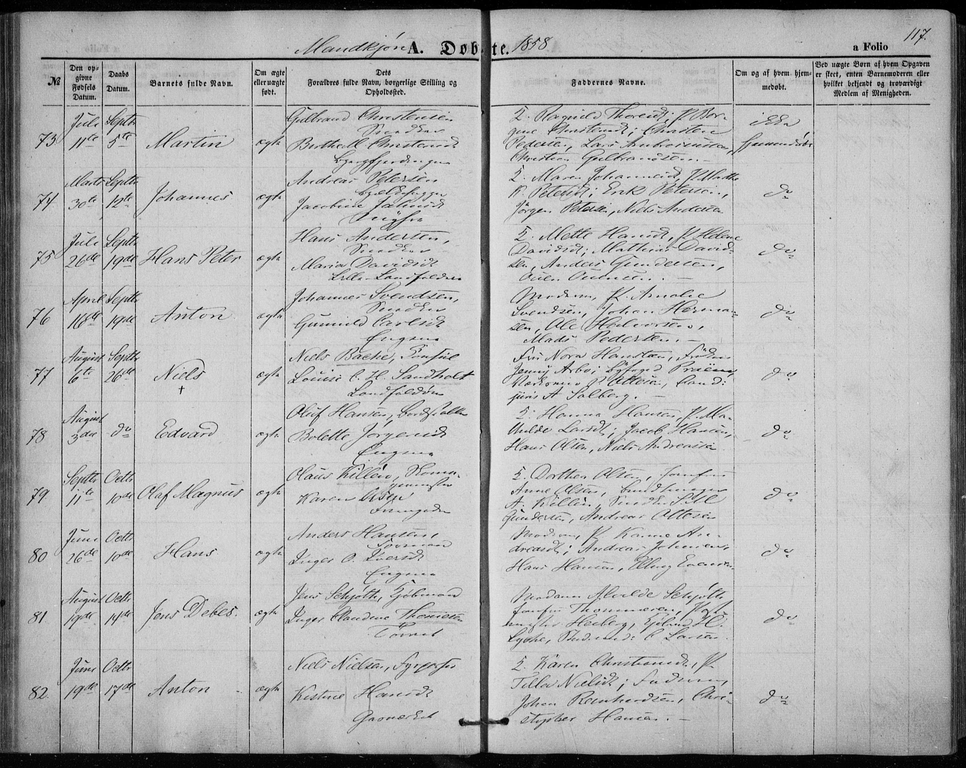 Bragernes kirkebøker, AV/SAKO-A-6/F/Fb/L0002: Parish register (official) no. II 2, 1848-1859, p. 117