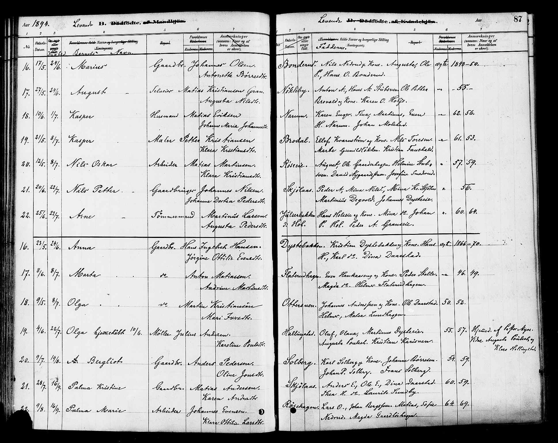 Vestre Toten prestekontor, AV/SAH-PREST-108/H/Ha/Haa/L0010: Parish register (official) no. 10, 1878-1894, p. 87