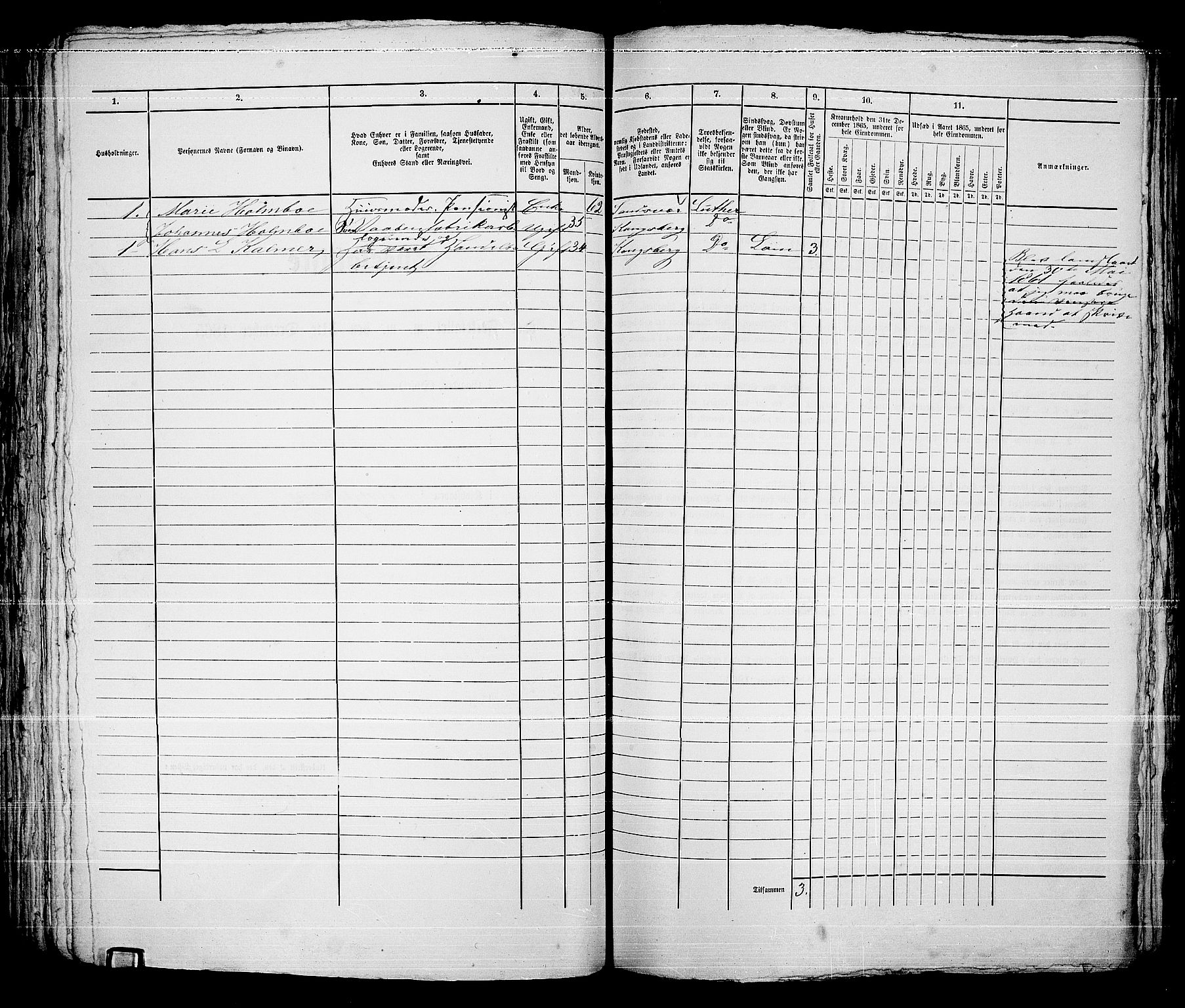 RA, 1865 census for Kongsberg/Kongsberg, 1865, p. 1181