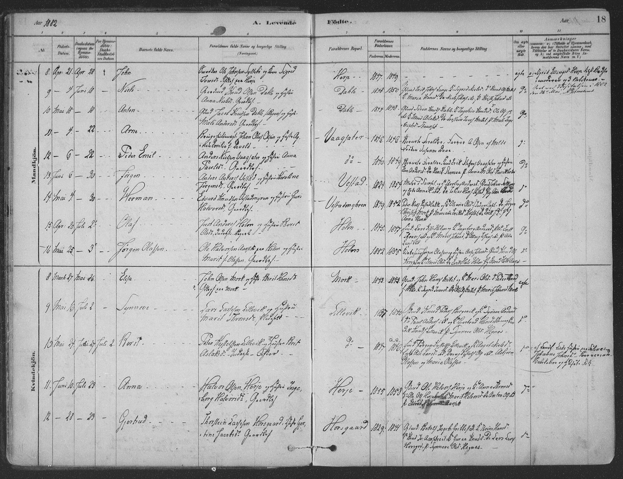 Ministerialprotokoller, klokkerbøker og fødselsregistre - Møre og Romsdal, AV/SAT-A-1454/547/L0604: Parish register (official) no. 547A06, 1878-1906, p. 18