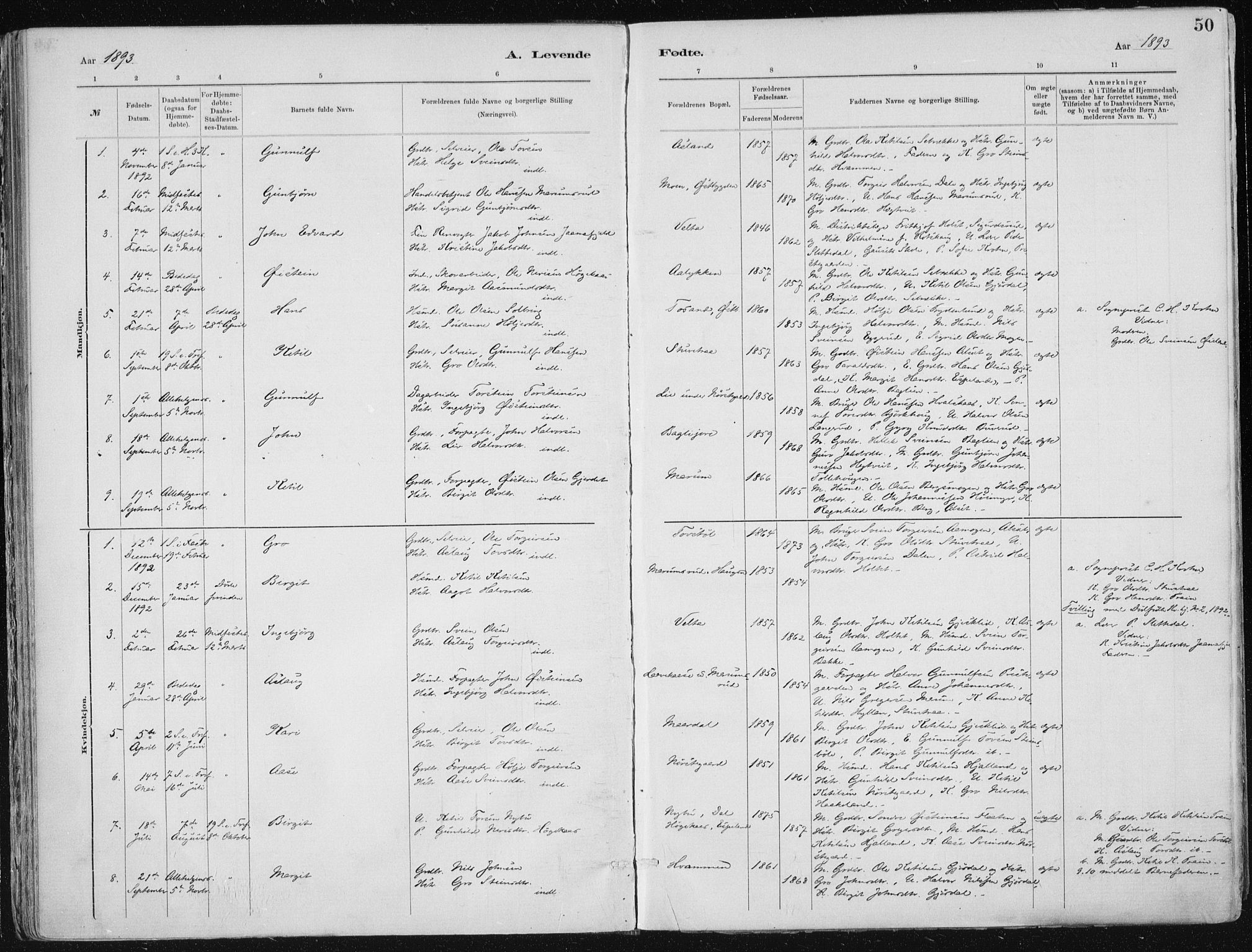 Tinn kirkebøker, SAKO/A-308/F/Fa/L0007: Parish register (official) no. I 7, 1878-1922, p. 50
