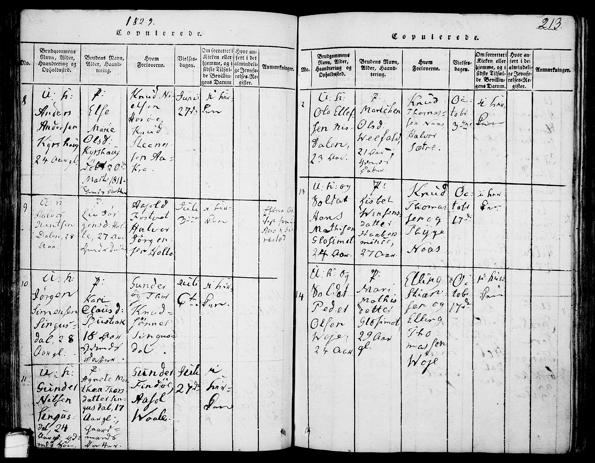 Drangedal kirkebøker, SAKO/A-258/F/Fa/L0005: Parish register (official) no. 5 /1, 1814-1831, p. 213