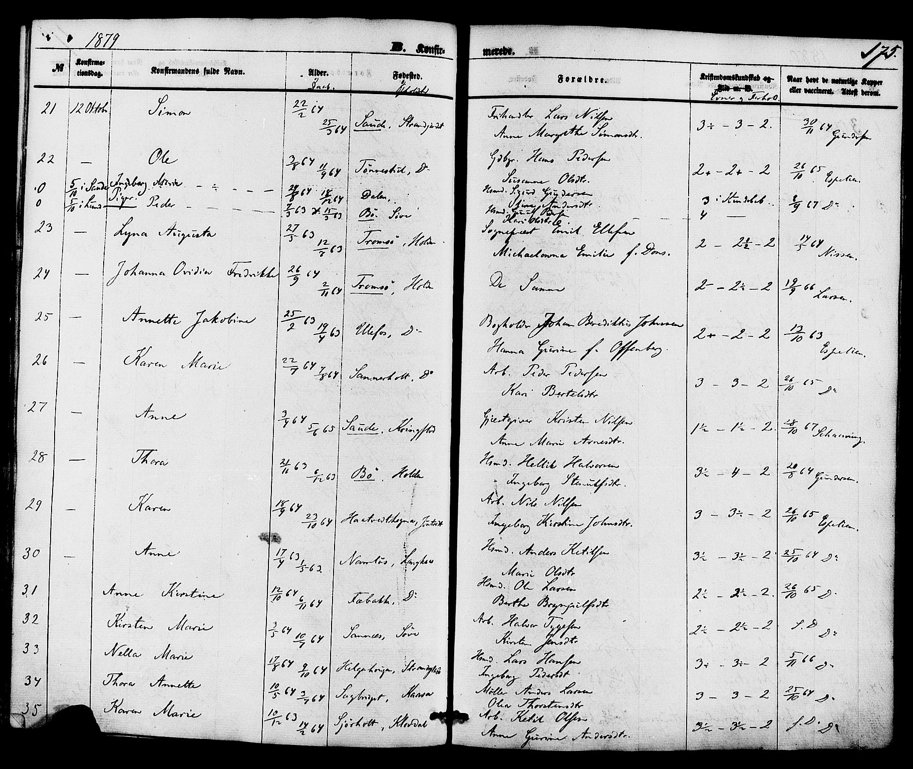 Holla kirkebøker, SAKO/A-272/F/Fa/L0007: Parish register (official) no. 7, 1869-1881, p. 175