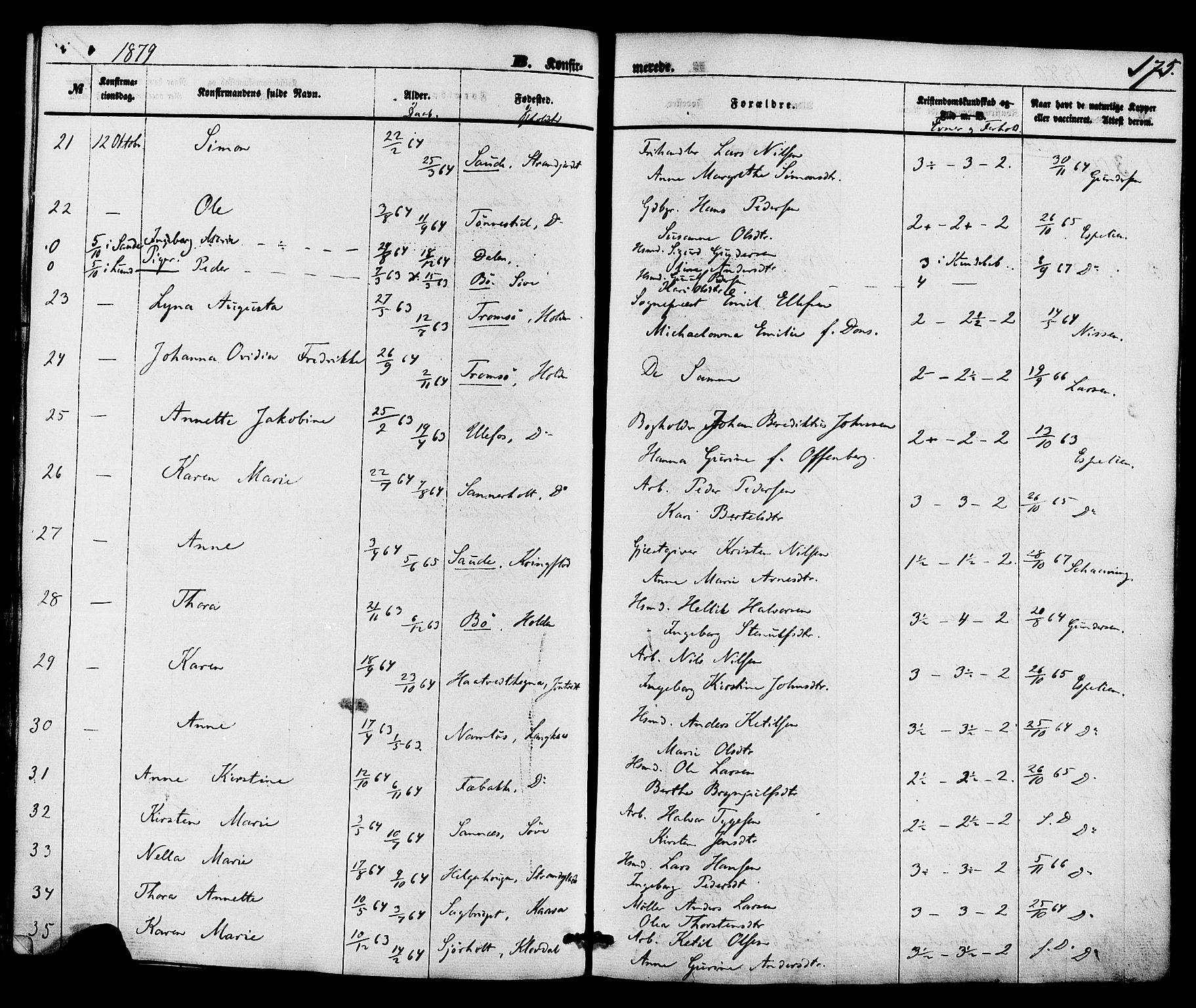 Holla kirkebøker, AV/SAKO-A-272/F/Fa/L0007: Parish register (official) no. 7, 1869-1881, p. 175