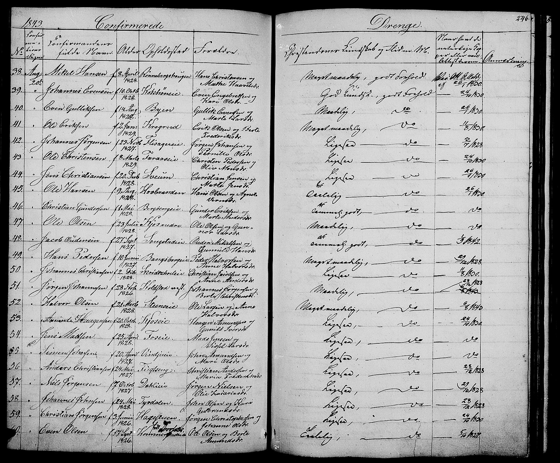 Ringsaker prestekontor, AV/SAH-PREST-014/L/La/L0005: Parish register (copy) no. 5, 1839-1850, p. 246