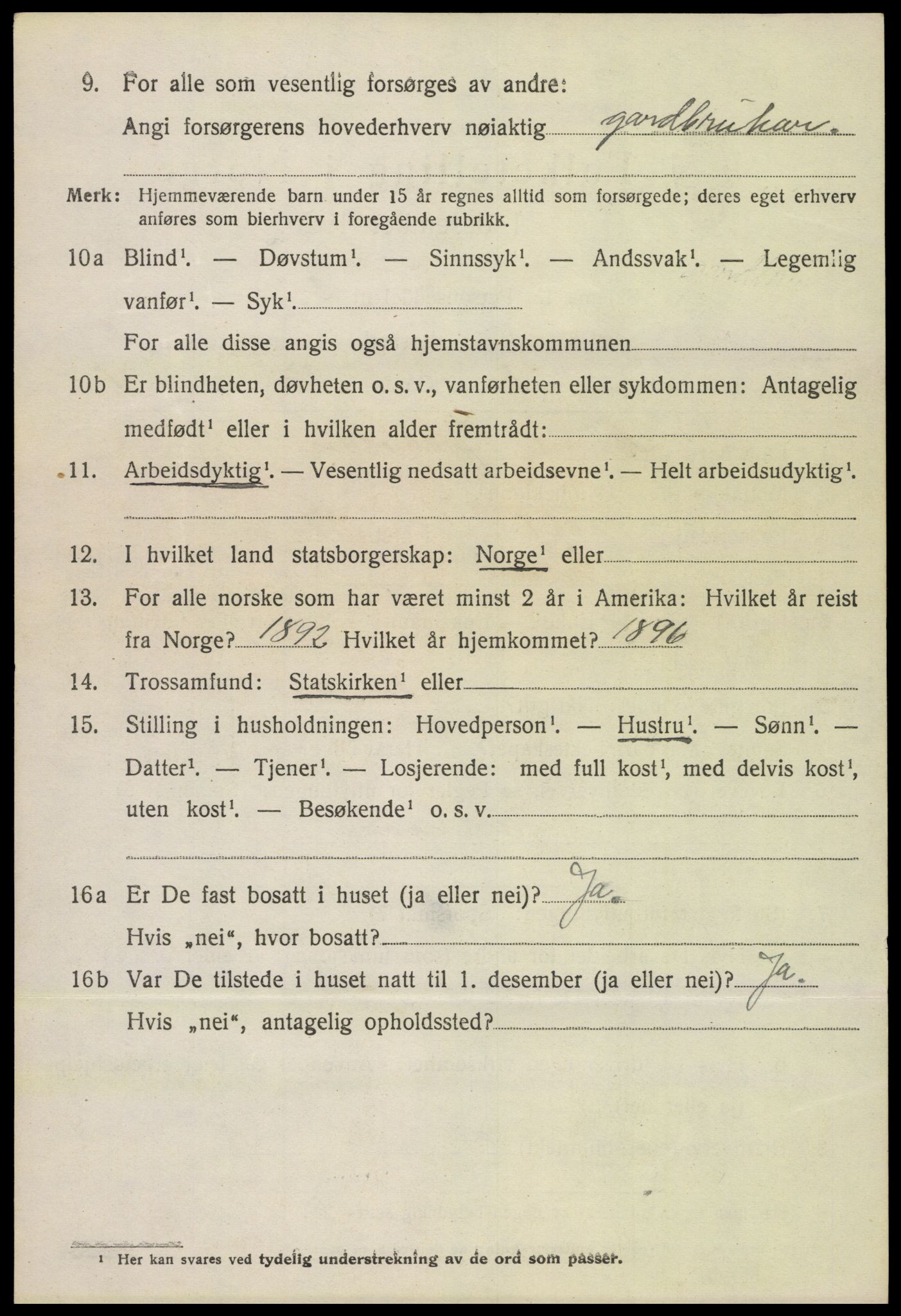 SAH, 1920 census for Lom, 1920, p. 4241