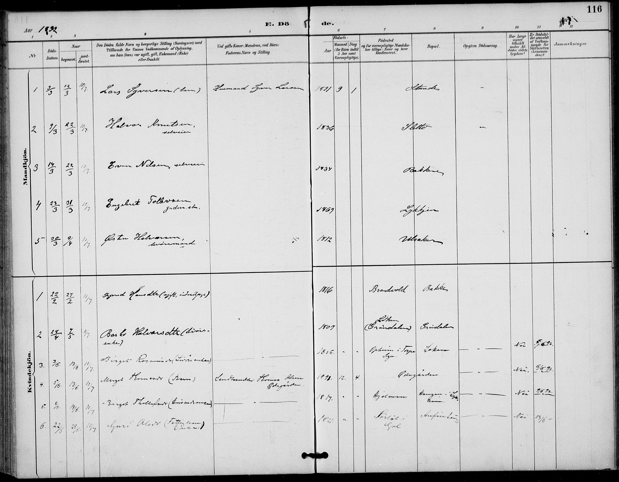 Gol kirkebøker, AV/SAKO-A-226/F/Fb/L0001: Parish register (official) no. II 1, 1887-1900, p. 116