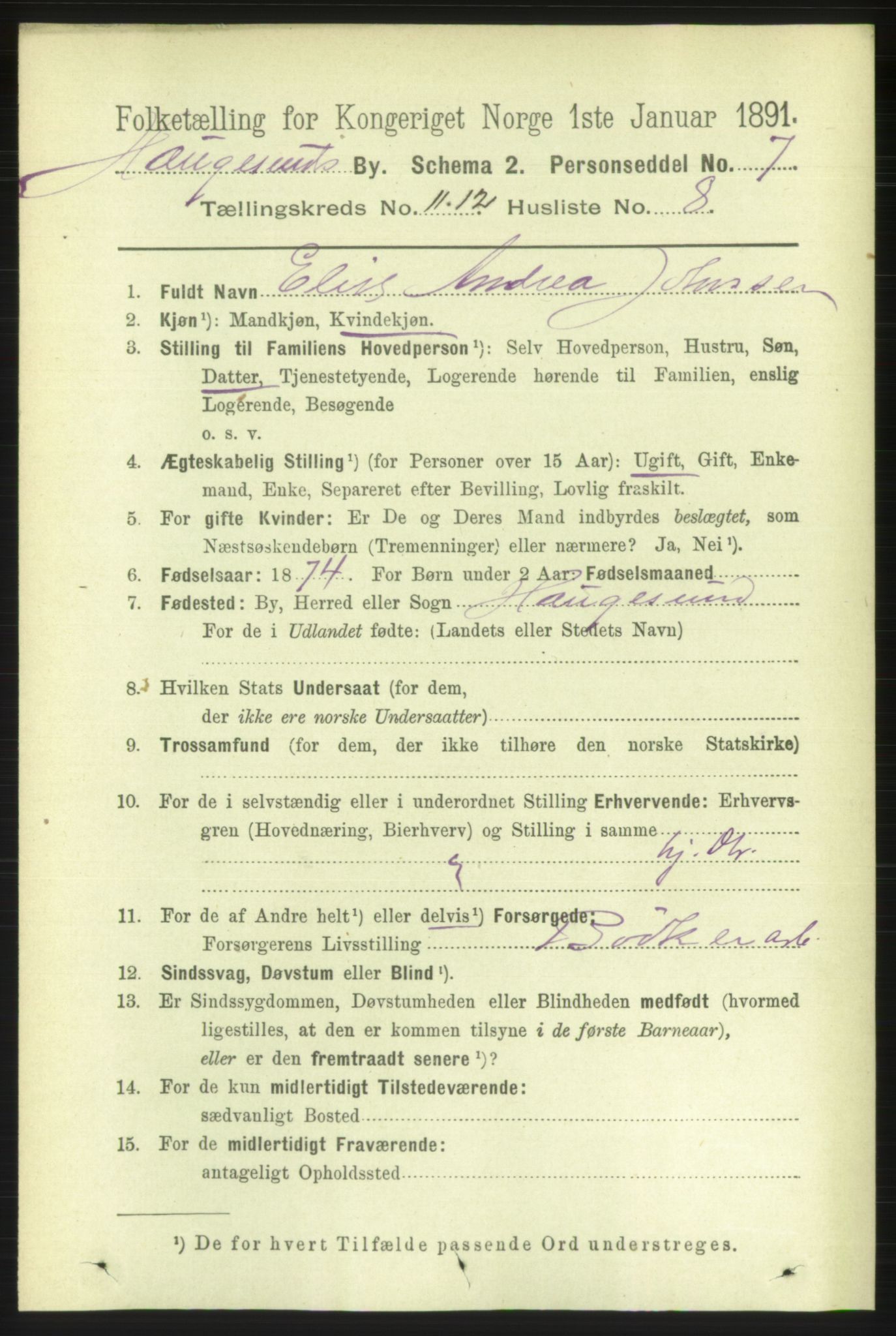 RA, 1891 census for 1106 Haugesund, 1891, p. 4032