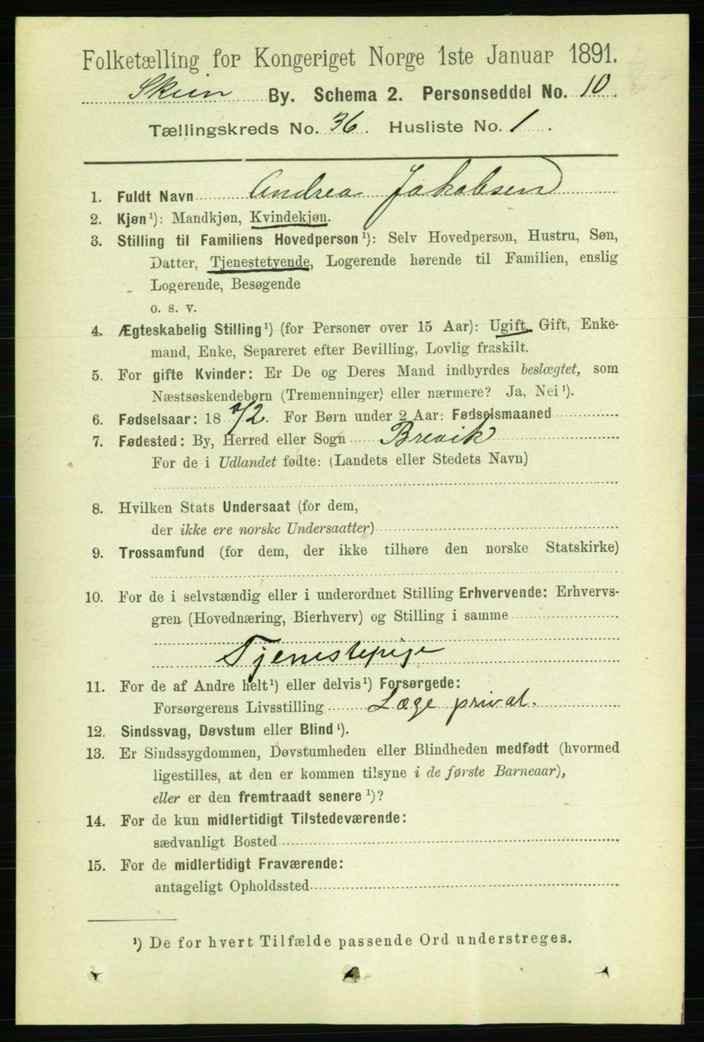 RA, 1891 census for 0806 Skien, 1891, p. 7954