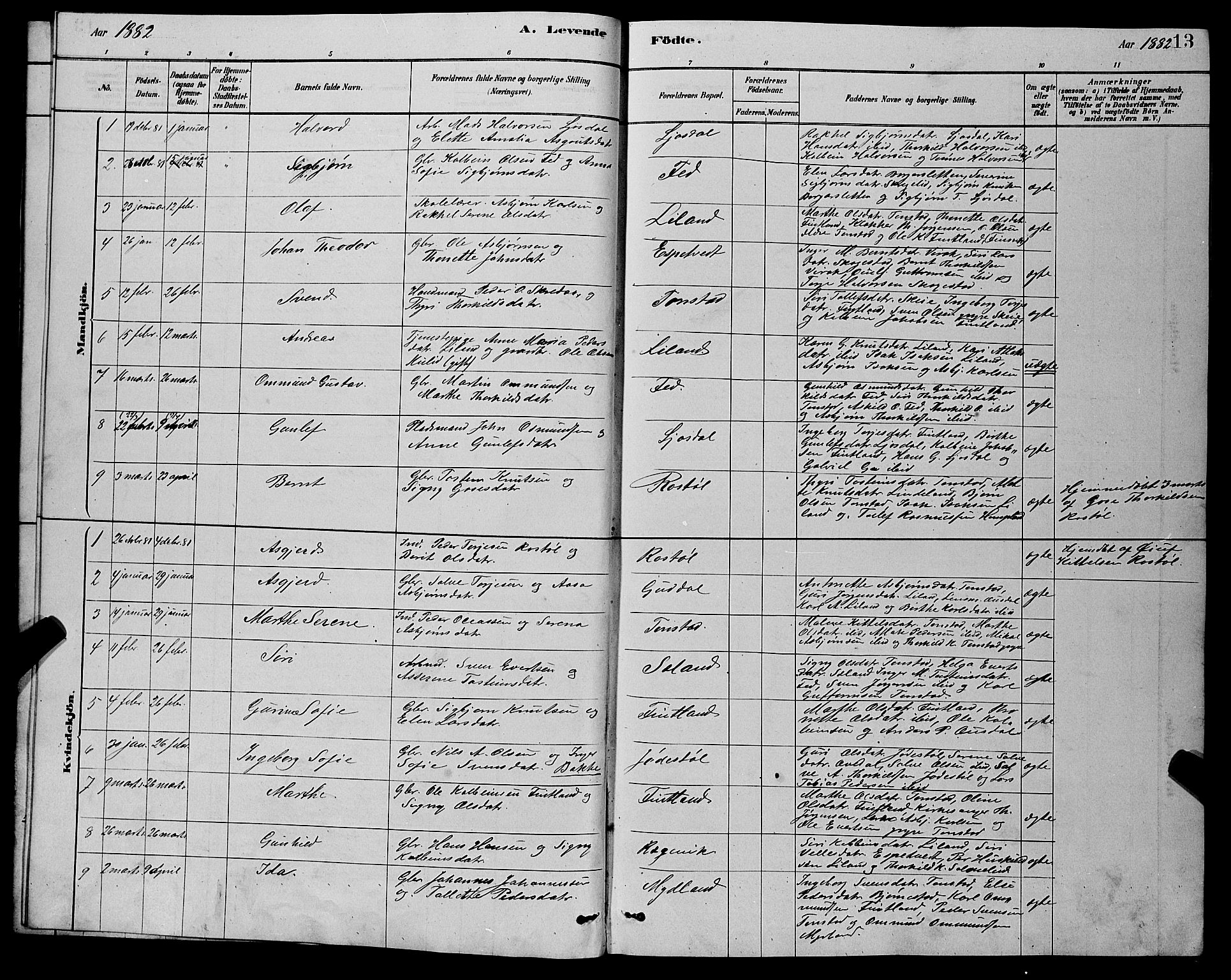 Sirdal sokneprestkontor, AV/SAK-1111-0036/F/Fb/Fbb/L0003: Parish register (copy) no. B 3, 1878-1894, p. 13