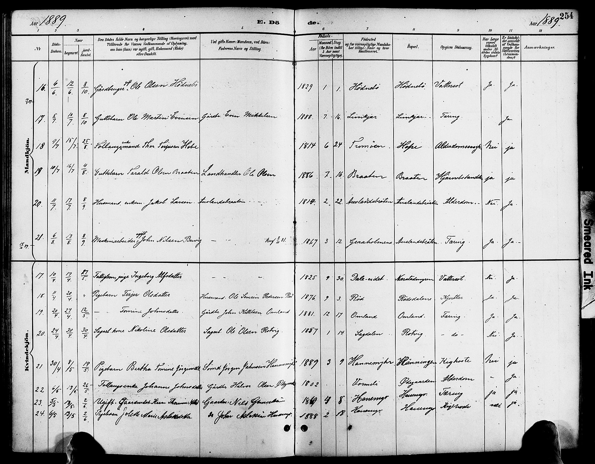 Søndeled sokneprestkontor, AV/SAK-1111-0038/F/Fa/L0005: Parish register (official) no. A 5, 1889-1899, p. 254
