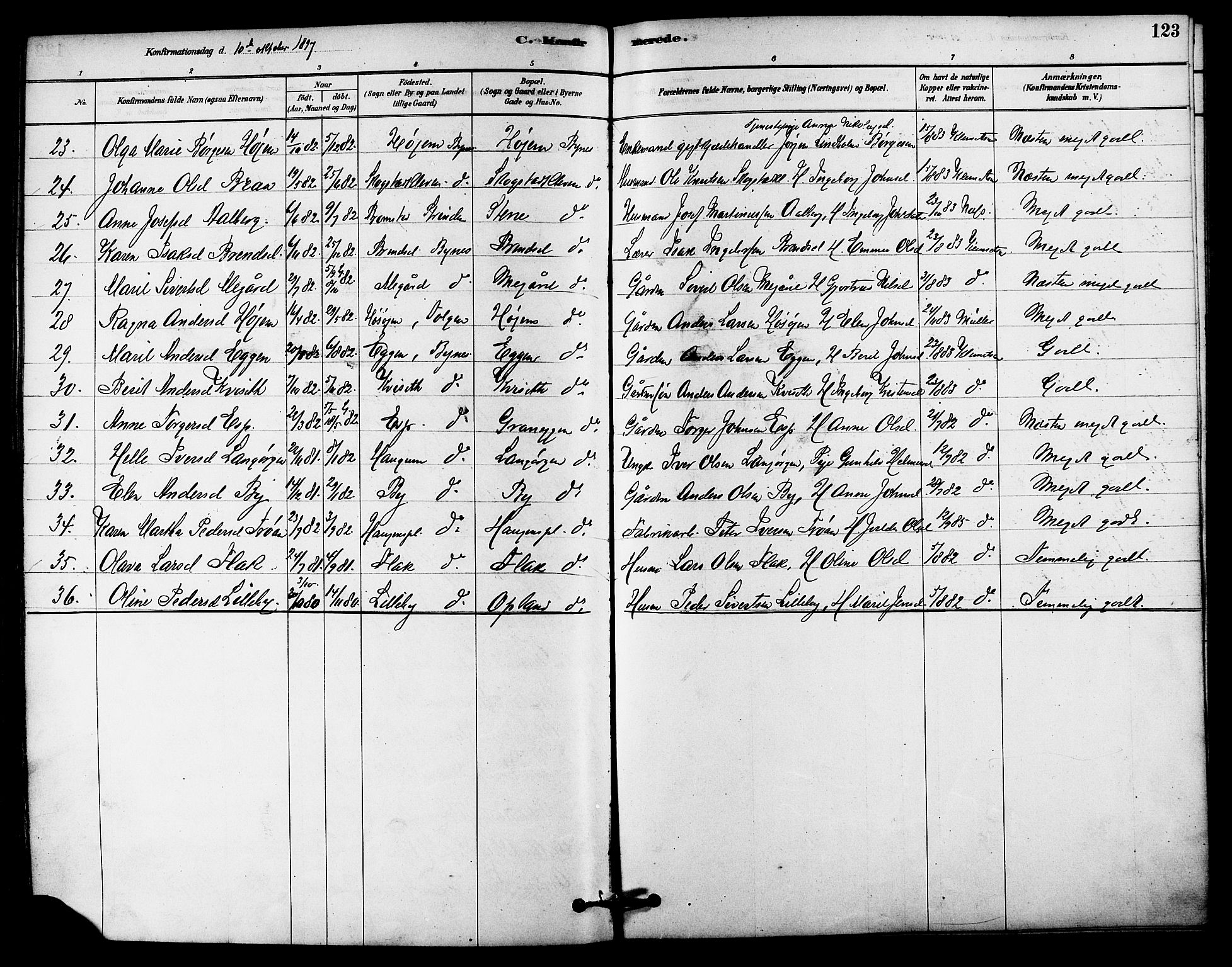 Ministerialprotokoller, klokkerbøker og fødselsregistre - Sør-Trøndelag, SAT/A-1456/612/L0378: Parish register (official) no. 612A10, 1878-1897, p. 123