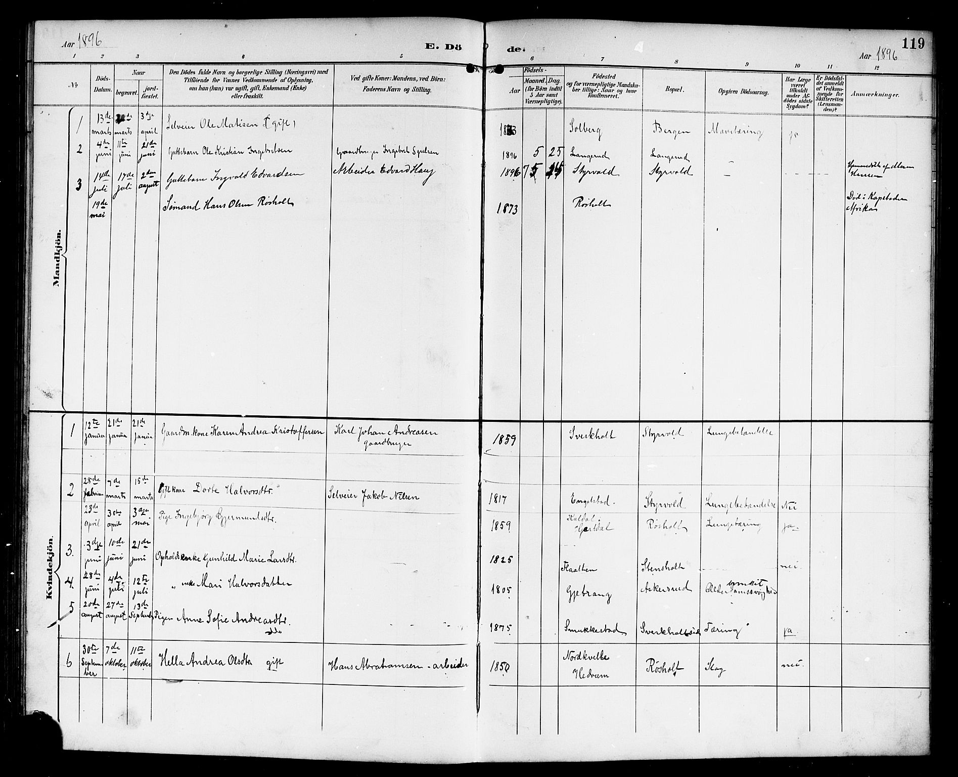 Lardal kirkebøker, AV/SAKO-A-350/G/Gc/L0002: Parish register (copy) no. III 2, 1894-1918, p. 119