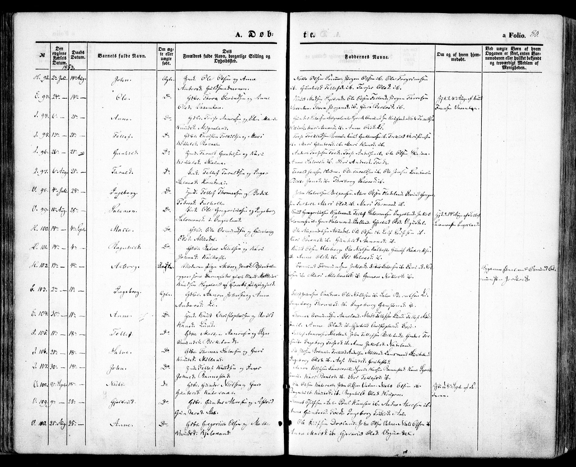 Evje sokneprestkontor, AV/SAK-1111-0008/F/Fa/Faa/L0005: Parish register (official) no. A 5, 1843-1865, p. 80