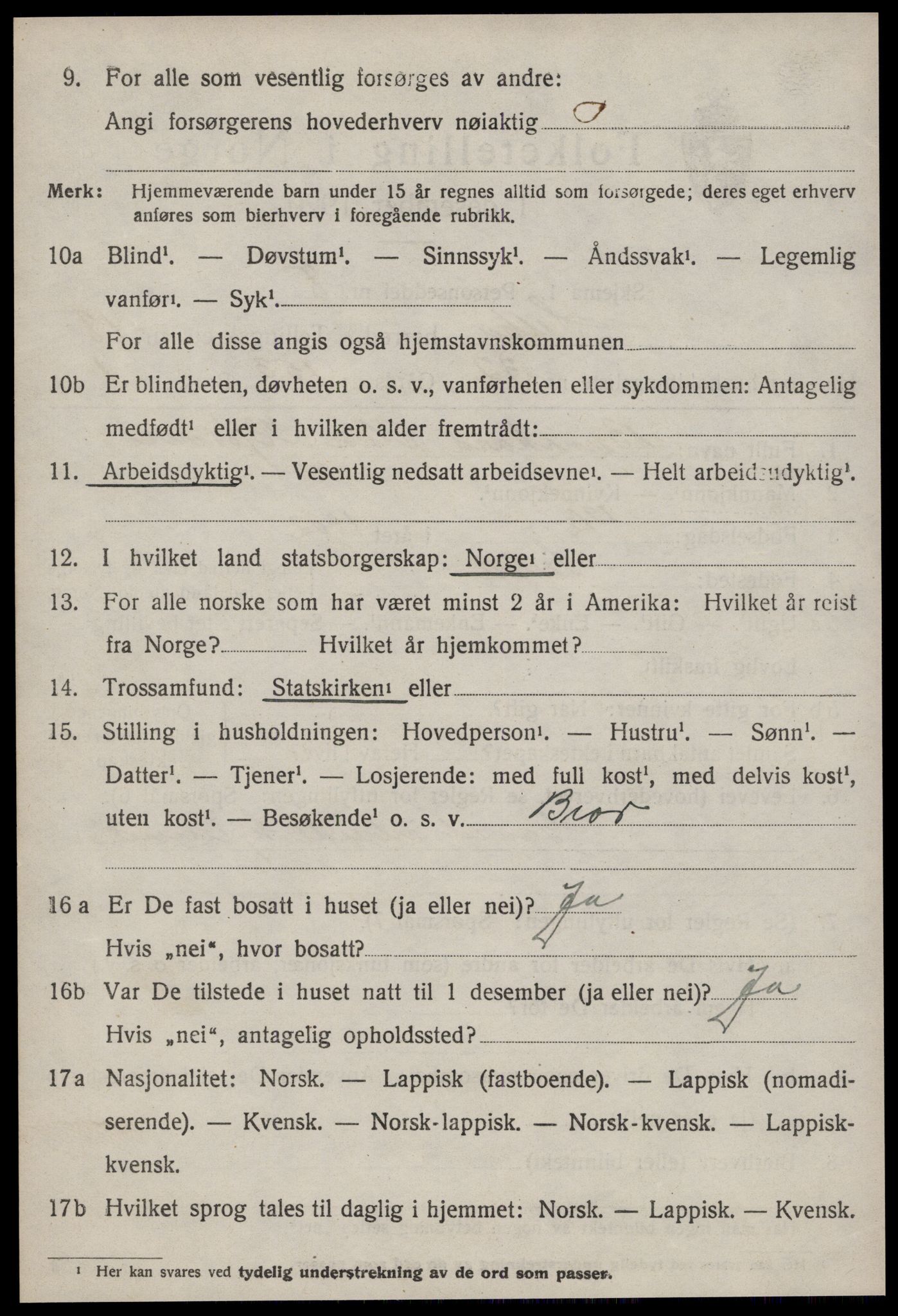 SAT, 1920 census for Selbu, 1920, p. 9777
