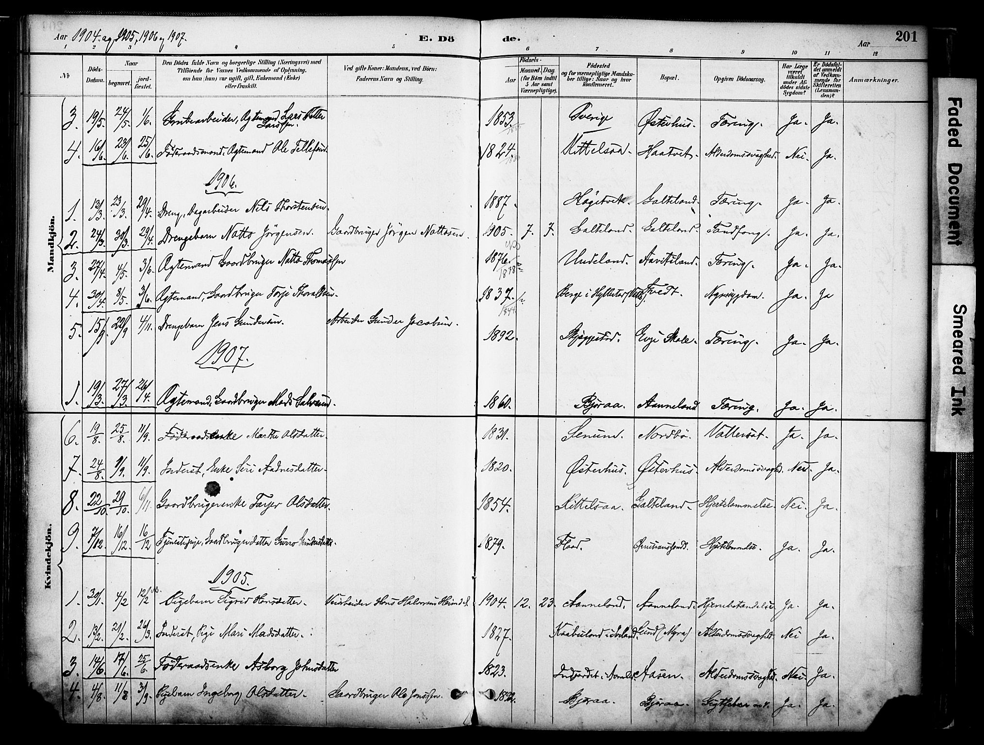 Evje sokneprestkontor, AV/SAK-1111-0008/F/Fa/Faa/L0007: Parish register (official) no. A 7, 1884-1909, p. 201