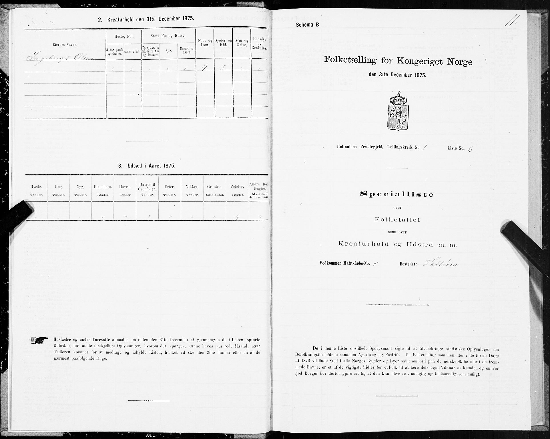 SAT, 1875 census for 1645P Haltdalen, 1875, p. 1011