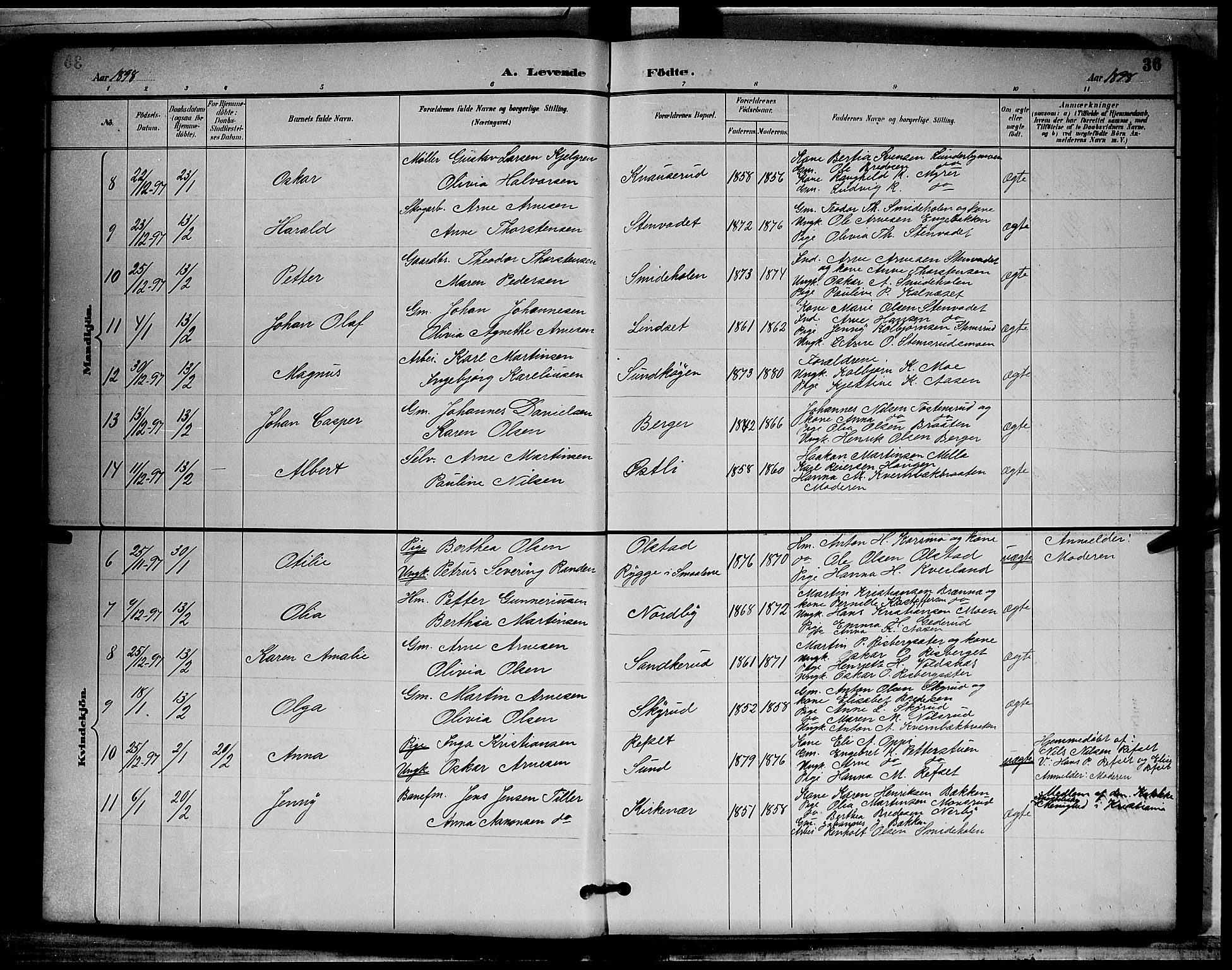 Grue prestekontor, SAH/PREST-036/H/Ha/Hab/L0003: Parish register (copy) no. 3, 1895-1899, p. 36