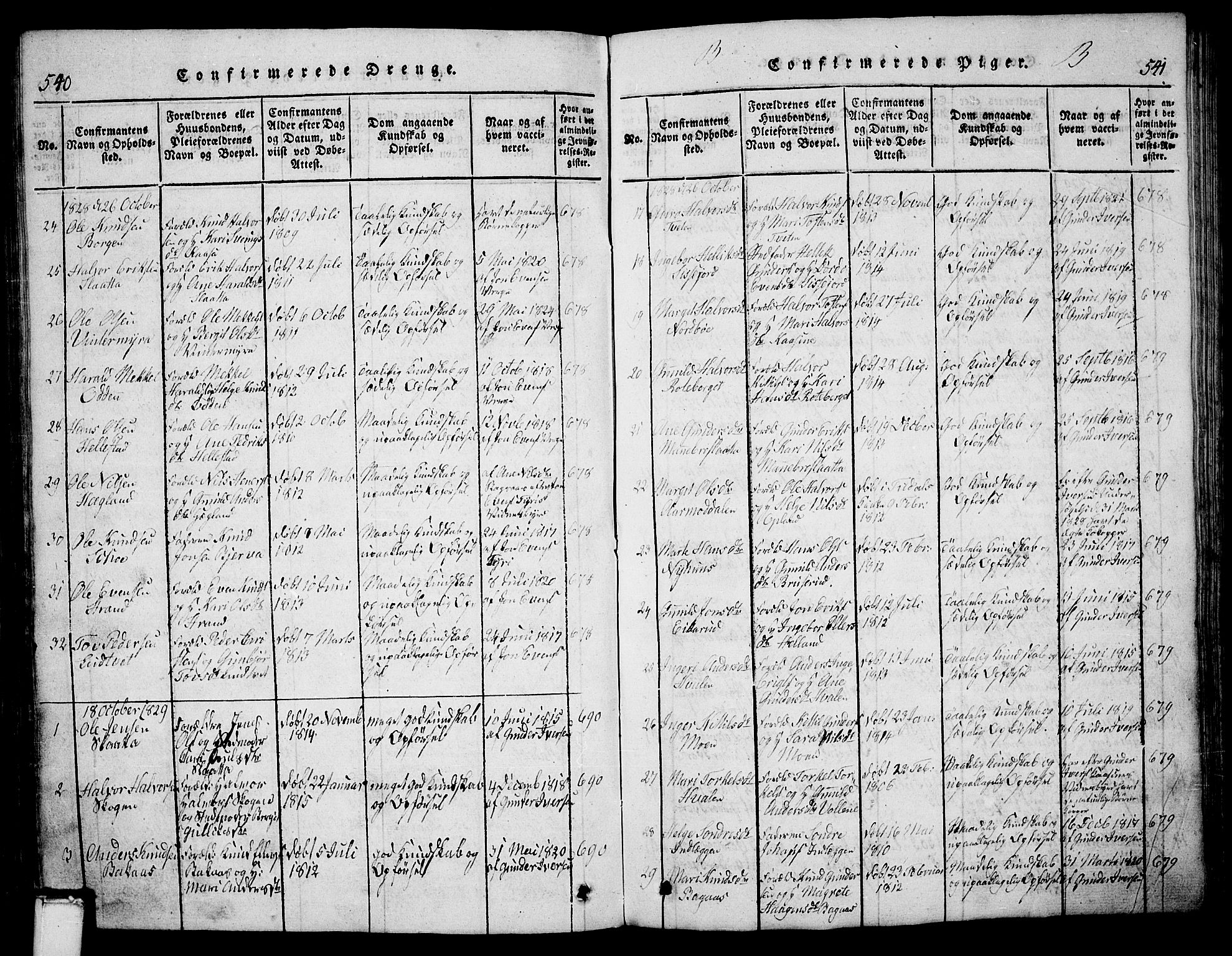 Bø kirkebøker, SAKO/A-257/G/Ga/L0001: Parish register (copy) no. 1, 1815-1831, p. 540-541