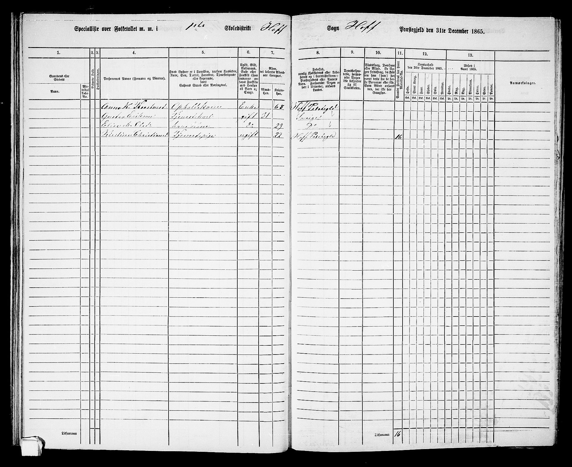 RA, 1865 census for Hof, 1865, p. 40