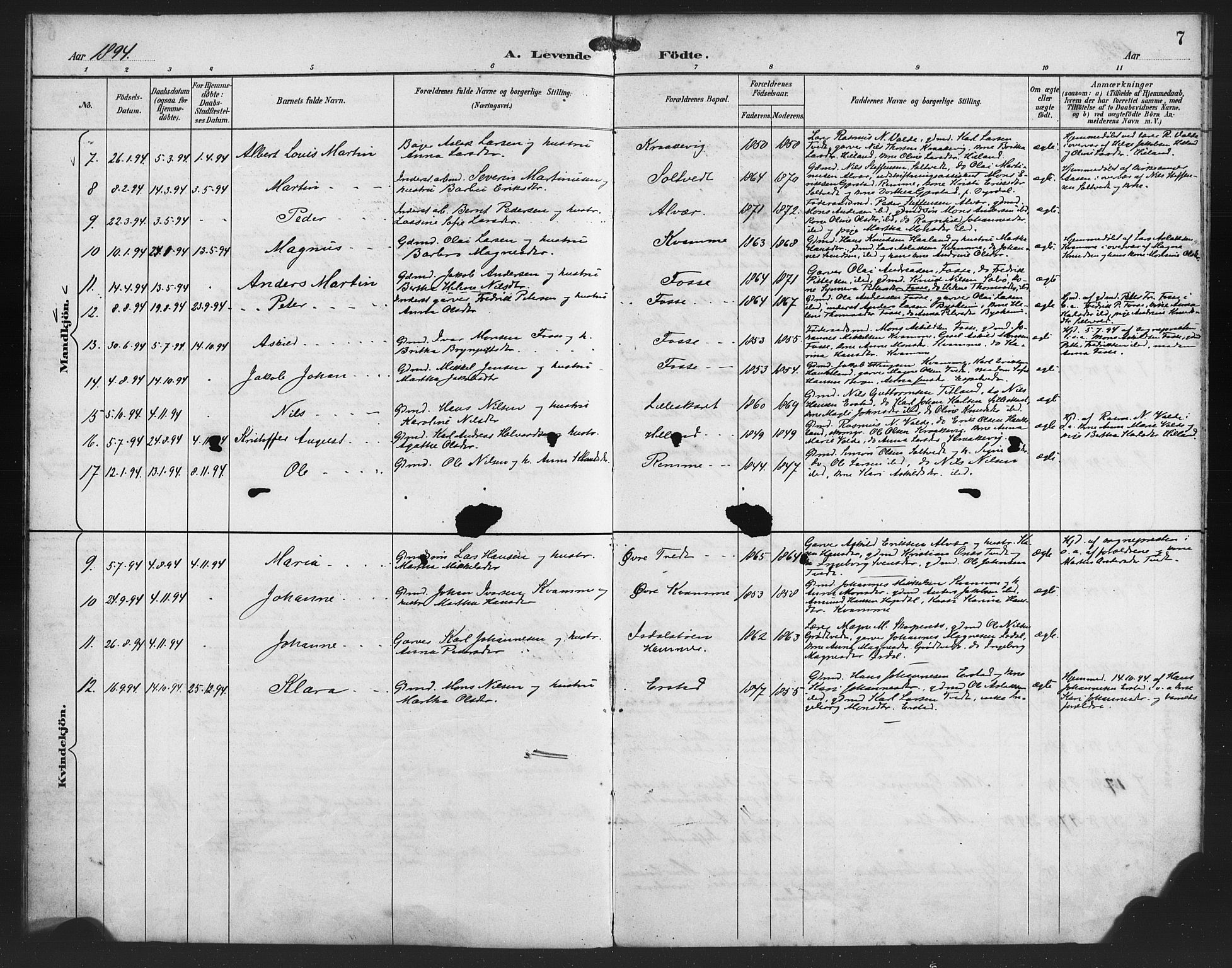 Alversund Sokneprestembete, SAB/A-73901/H/Ha/Haa/Haaa/L0002: Parish register (official) no. A 2, 1893-1896, p. 7