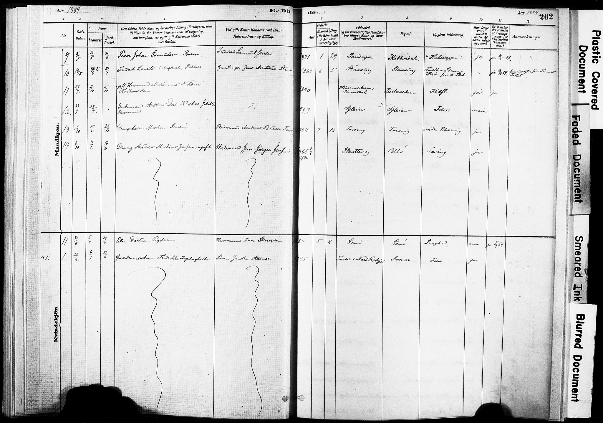 Ministerialprotokoller, klokkerbøker og fødselsregistre - Nordland, AV/SAT-A-1459/835/L0526: Parish register (official) no. 835A03II, 1881-1910, p. 262