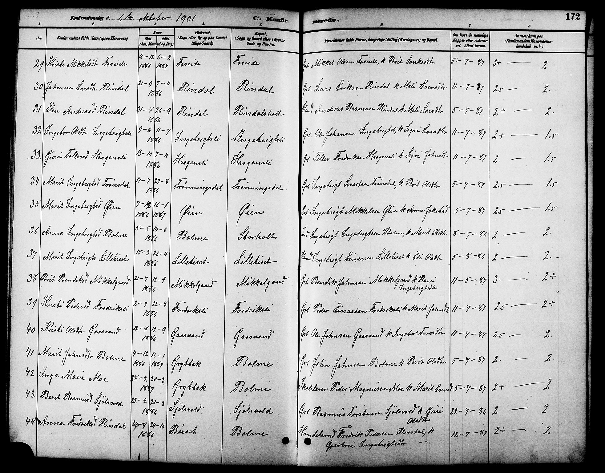 Ministerialprotokoller, klokkerbøker og fødselsregistre - Møre og Romsdal, AV/SAT-A-1454/598/L1078: Parish register (copy) no. 598C03, 1892-1909, p. 172