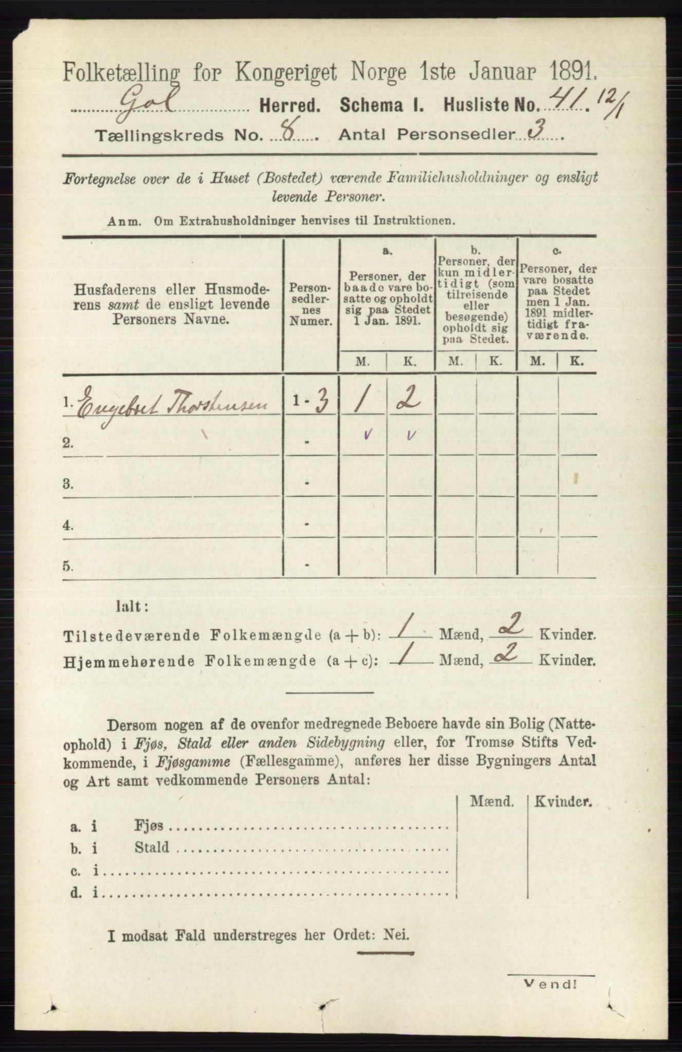 RA, 1891 census for 0617 Gol og Hemsedal, 1891, p. 3022