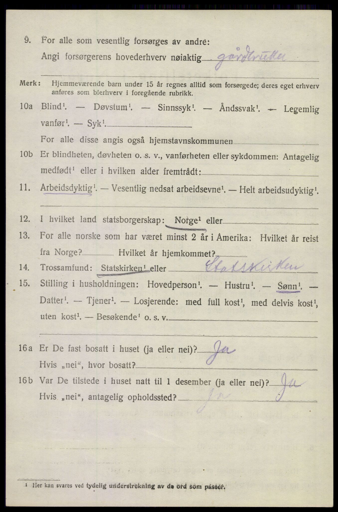 SAKO, 1920 census for Sandeherred, 1920, p. 11919