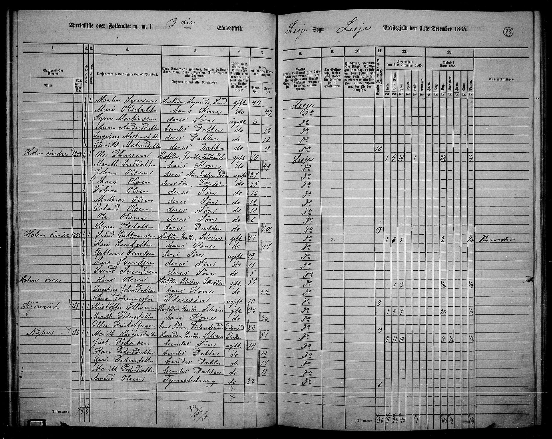 RA, 1865 census for Lesja, 1865, p. 73