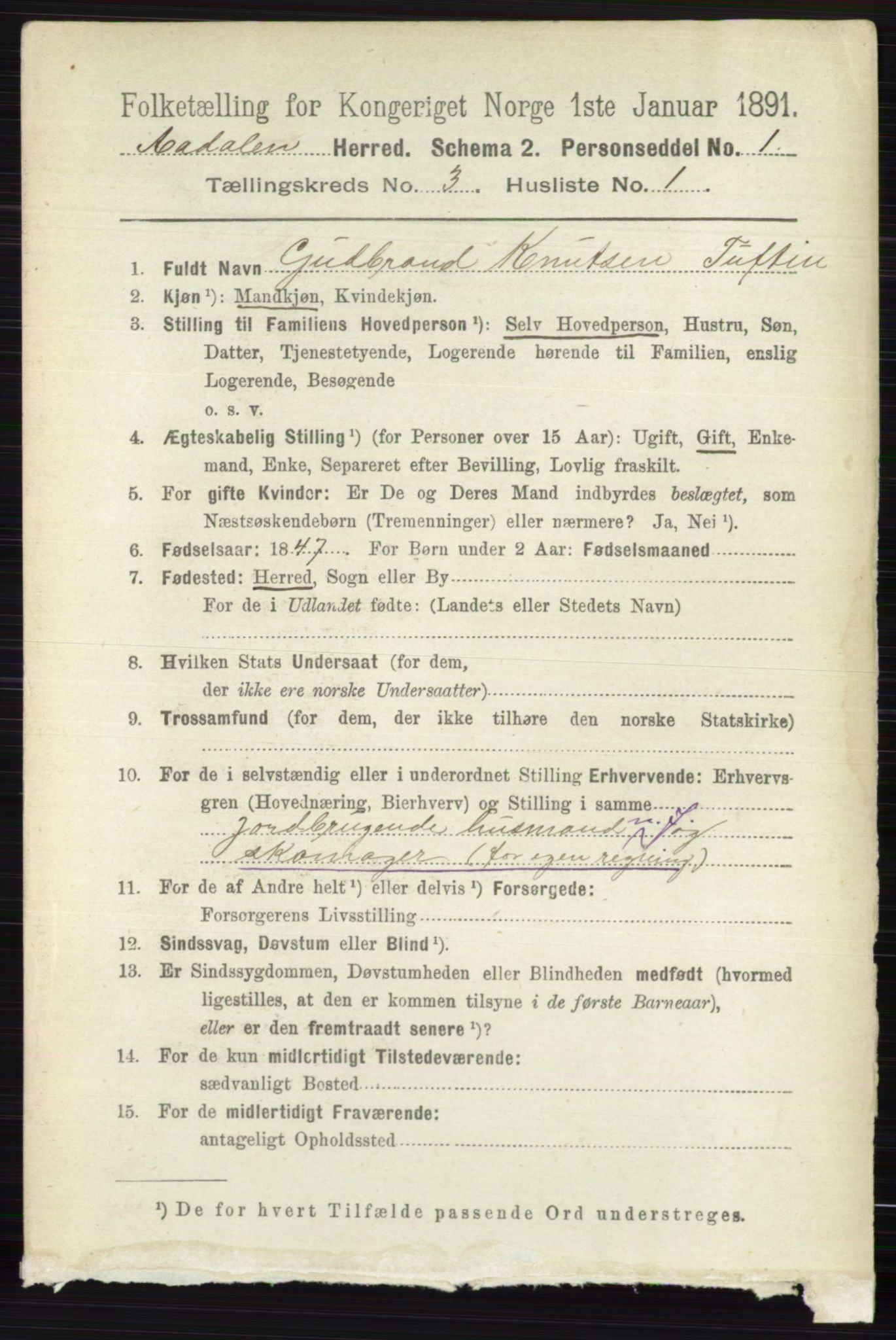 RA, 1891 census for 0614 Ådal, 1891, p. 1028