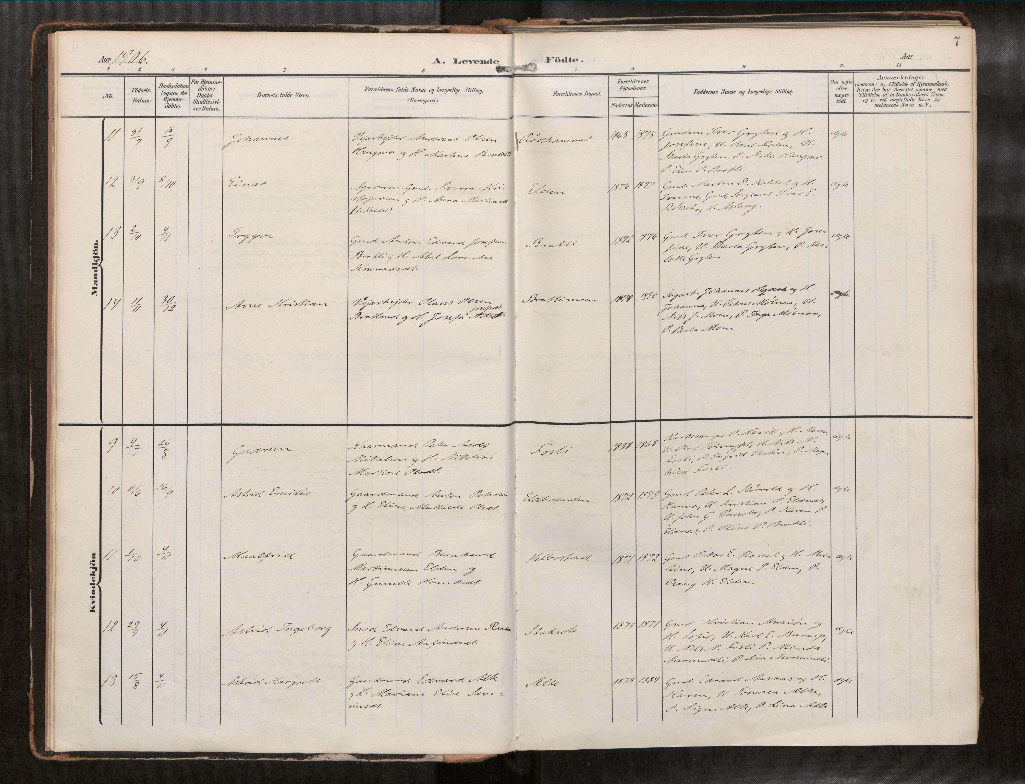 Ministerialprotokoller, klokkerbøker og fødselsregistre - Nord-Trøndelag, AV/SAT-A-1458/742/L0409a: Parish register (official) no. 742A03, 1906-1924, p. 7