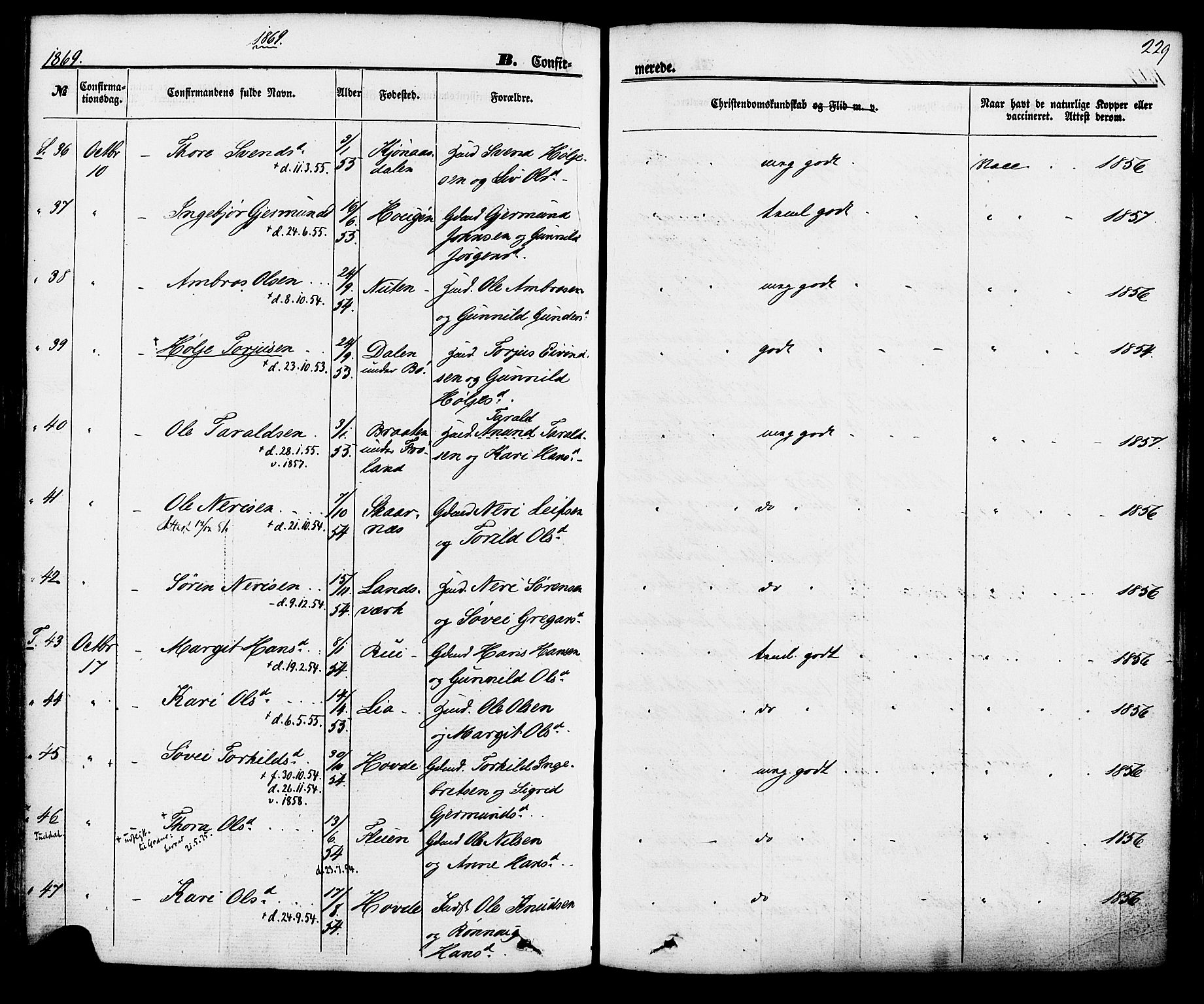 Hjartdal kirkebøker, AV/SAKO-A-270/F/Fa/L0009: Parish register (official) no. I 9, 1860-1879, p. 229