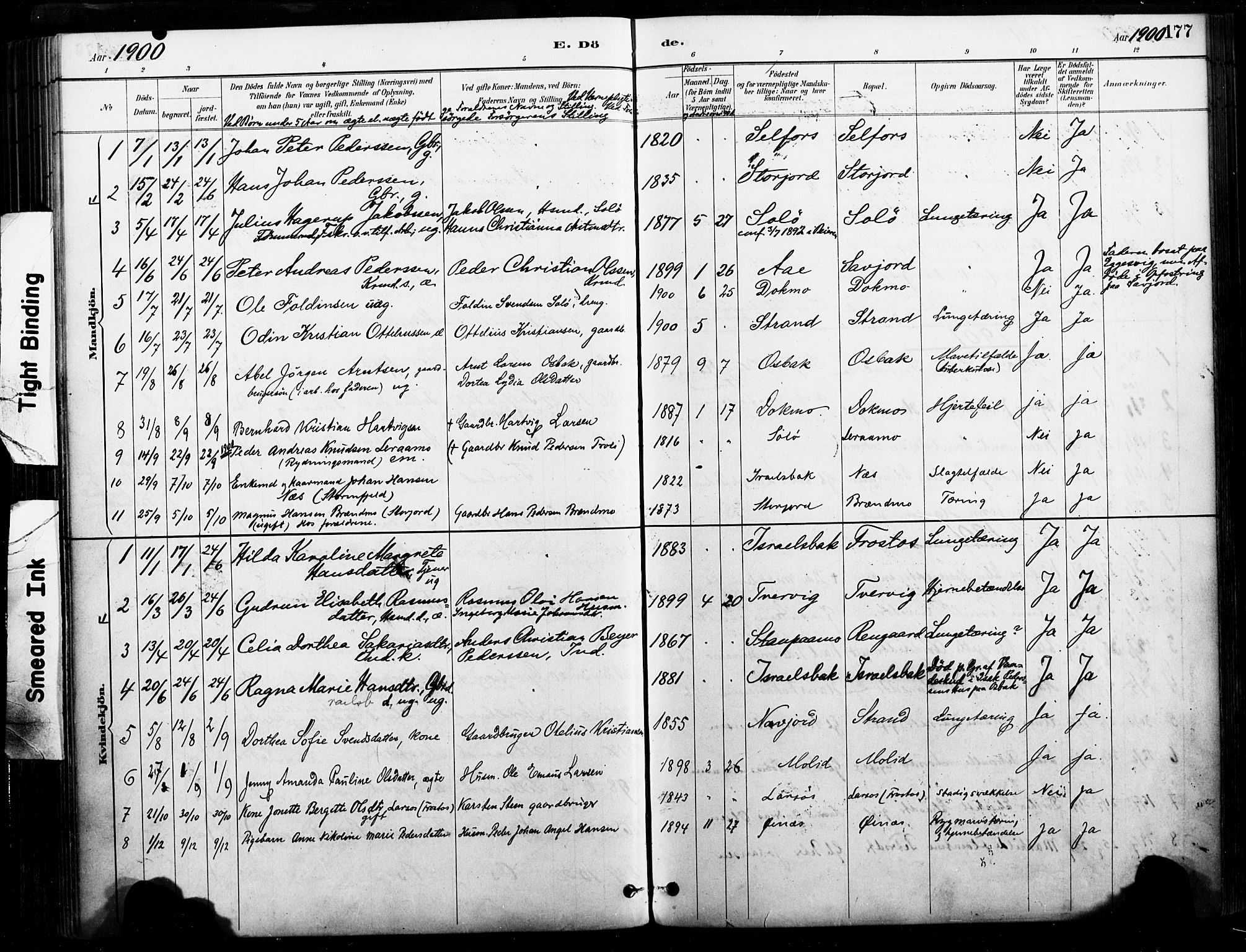 Ministerialprotokoller, klokkerbøker og fødselsregistre - Nordland, AV/SAT-A-1459/846/L0646: Parish register (official) no. 846A04, 1887-1901, p. 177